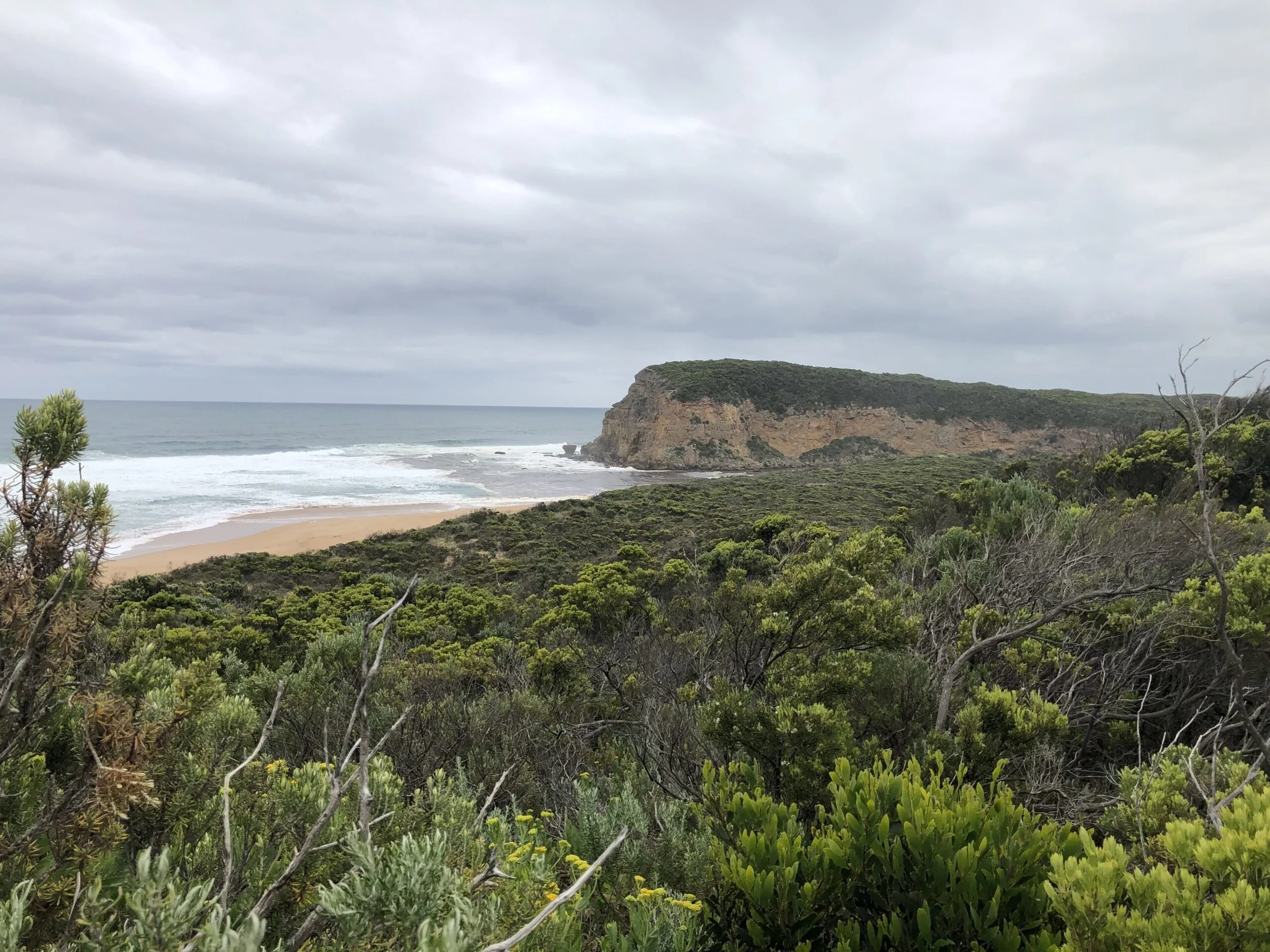 Apollo Bay Landcare Group