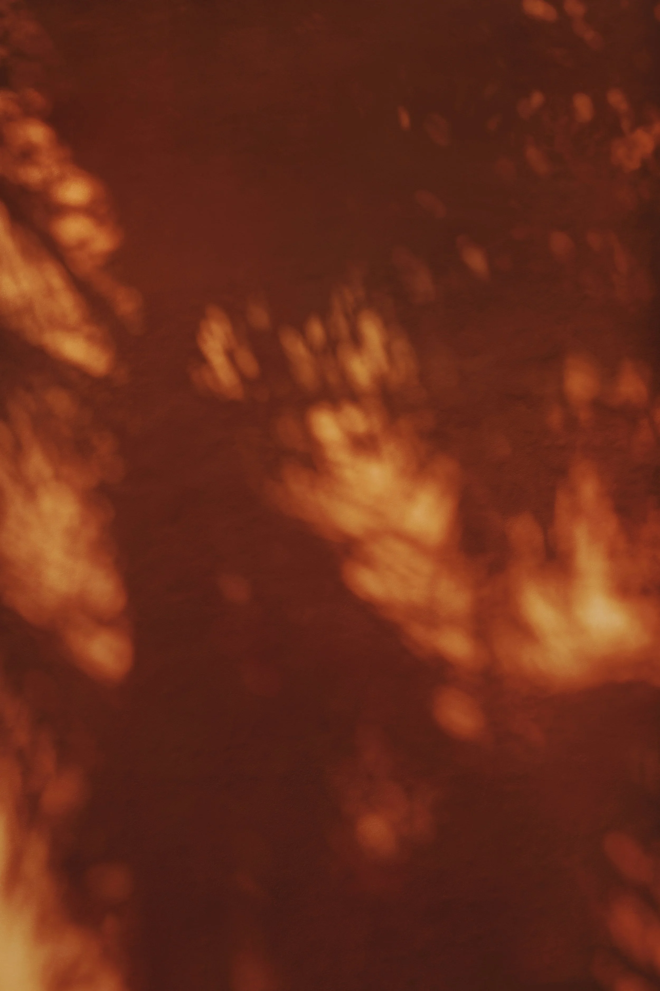 Close-up of a textured, reddish-brown surface with an uneven pattern.