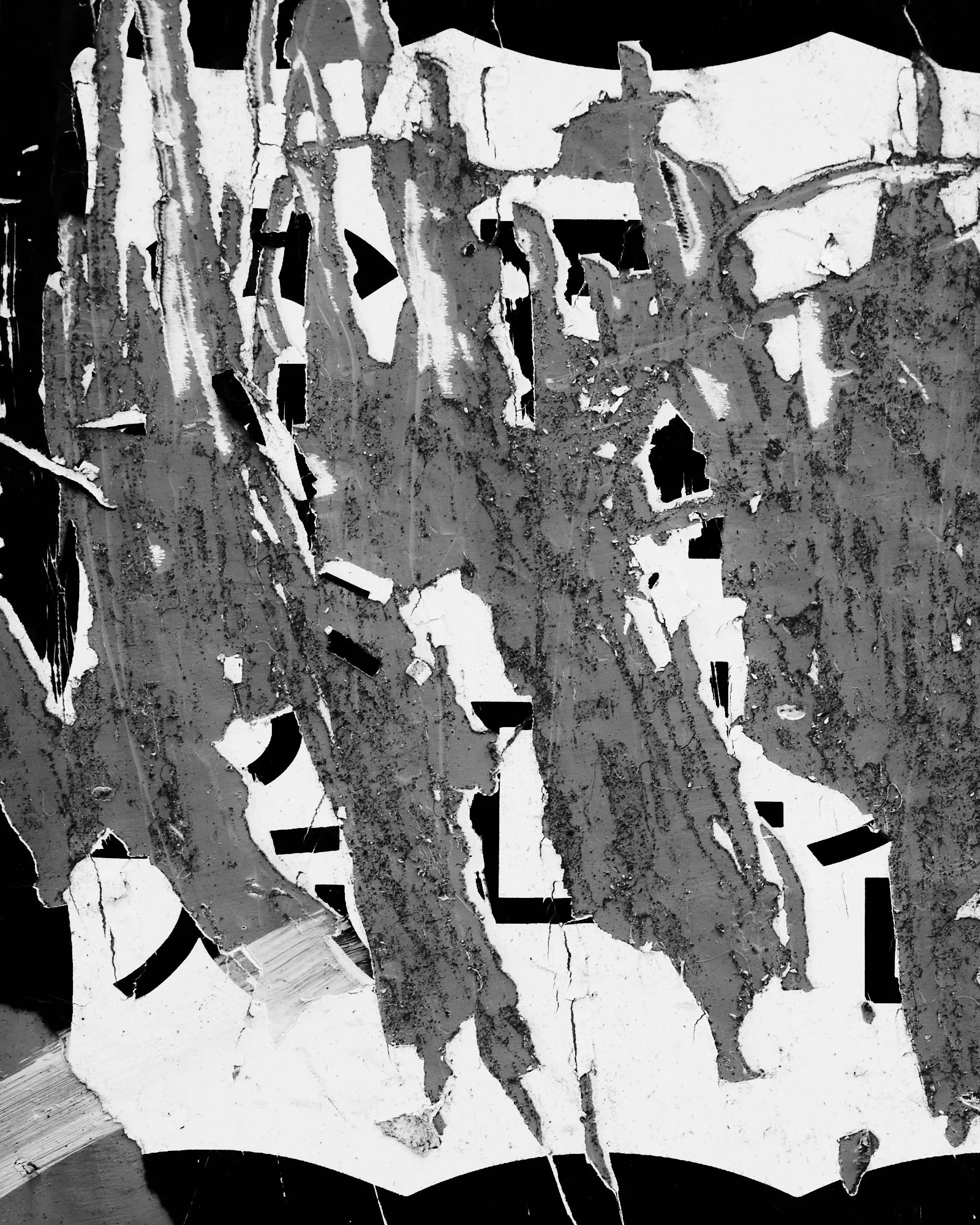 DSCF9178.jpg