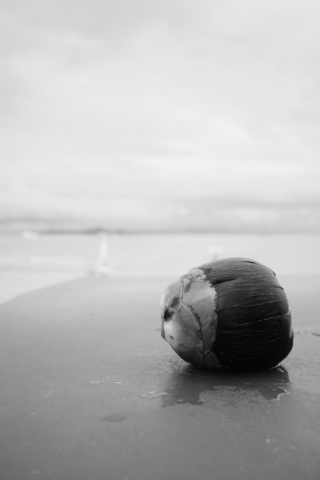 DSCF0581.jpg