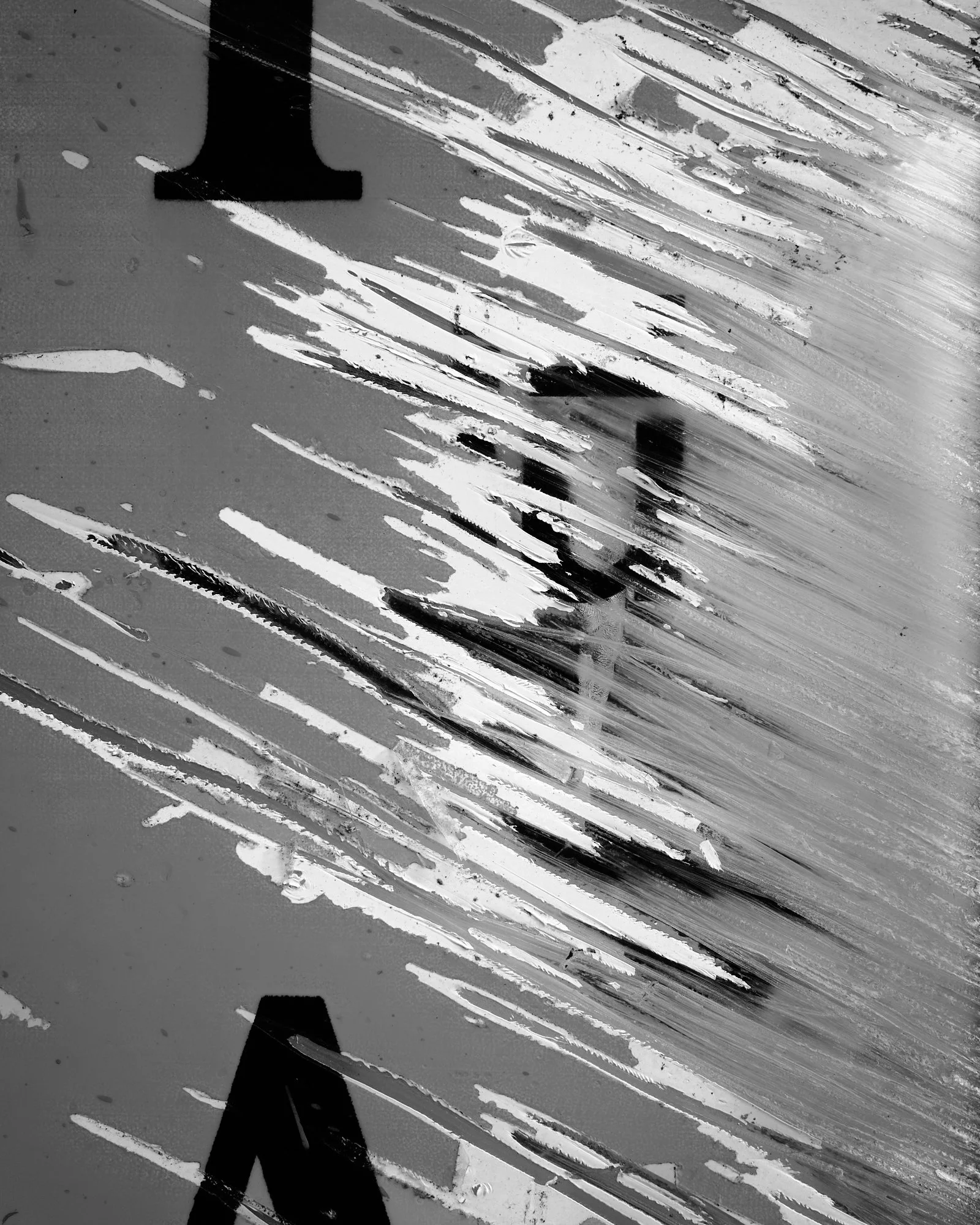 DSCF1646_1.jpg