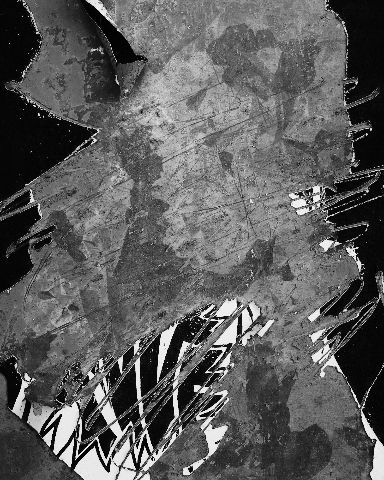 DSCF8008.jpg