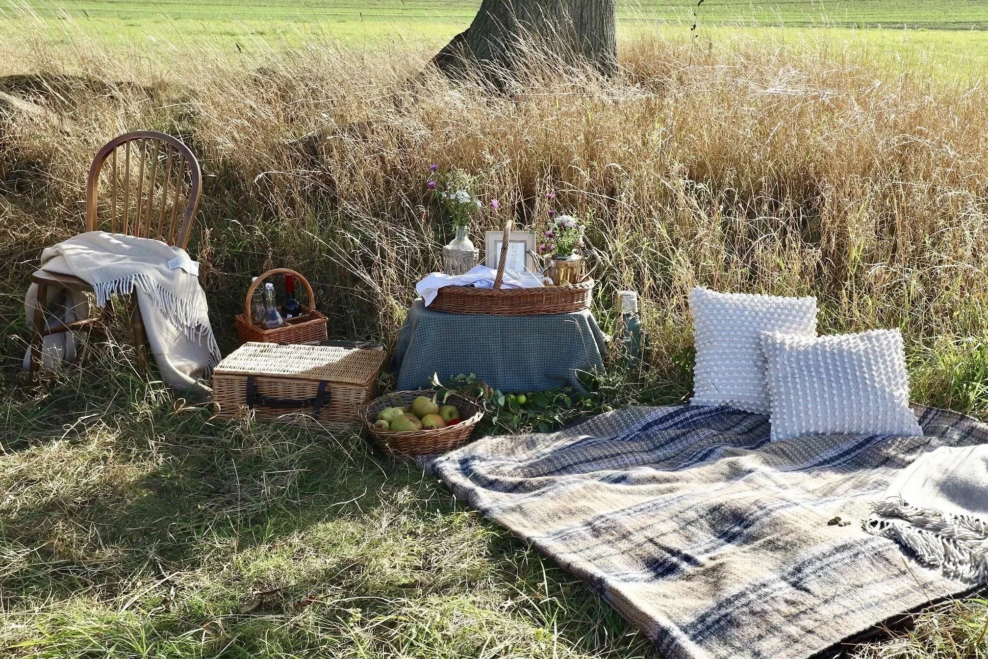 Outdoor picnic beneath an old oak, with a picnic blanket, wicker basket, seasonal fruit in the long grass.