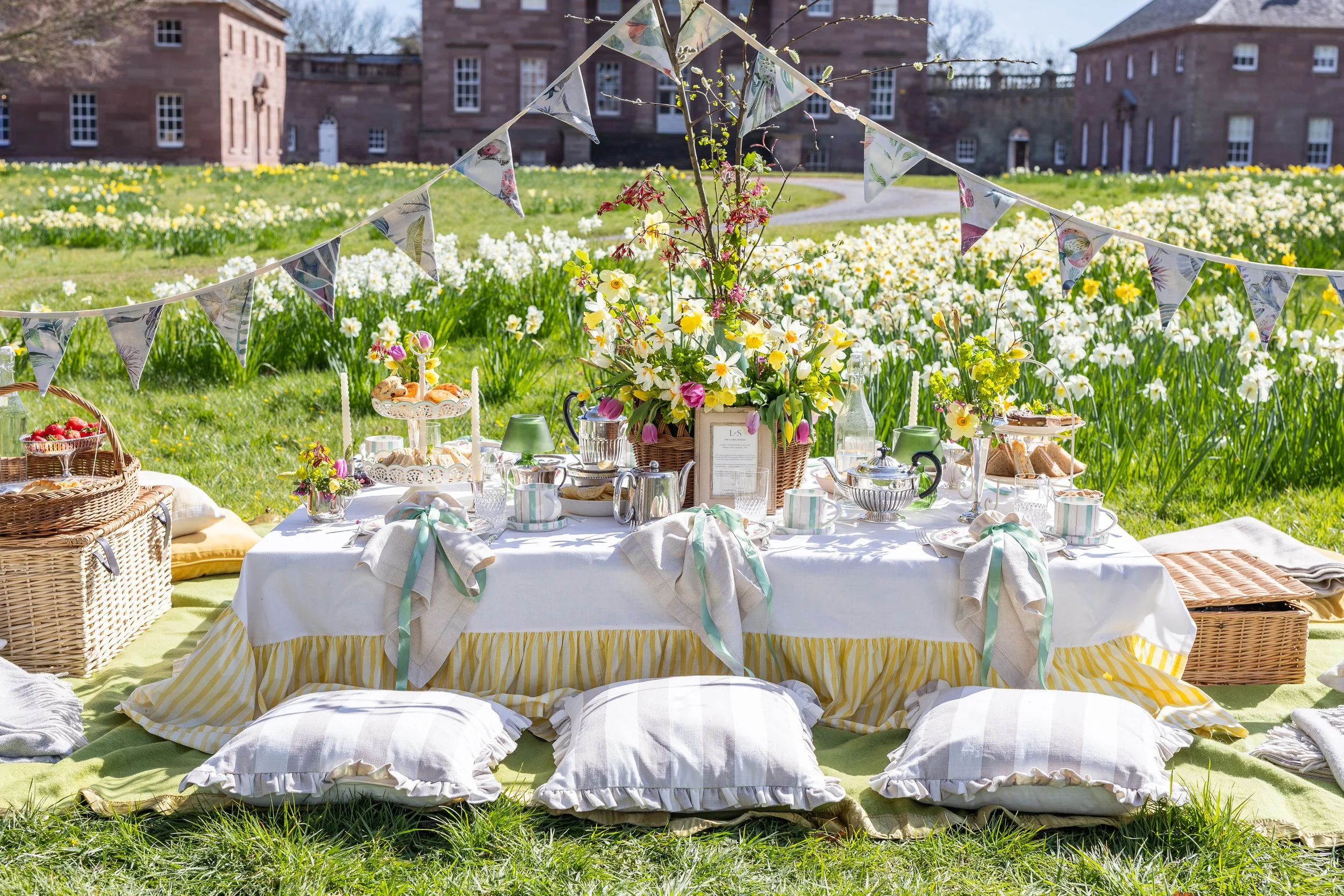 Among the Daffodils