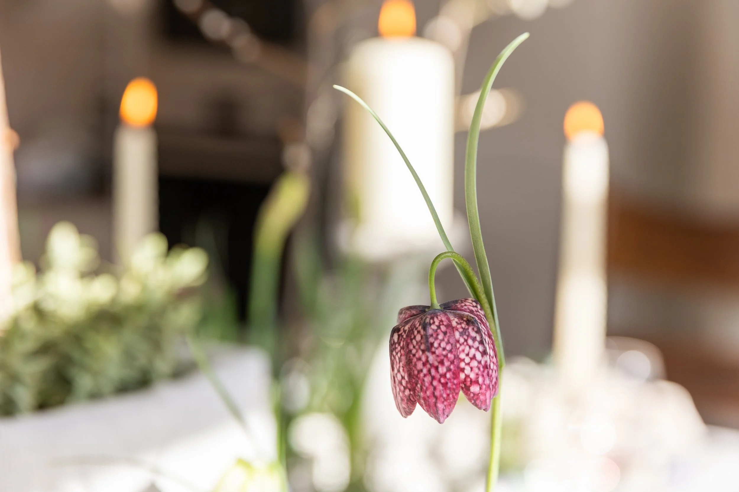 Seasonal floral detail featuring fritillary blooms in soft natural light with atmospheric candlelight in the background.