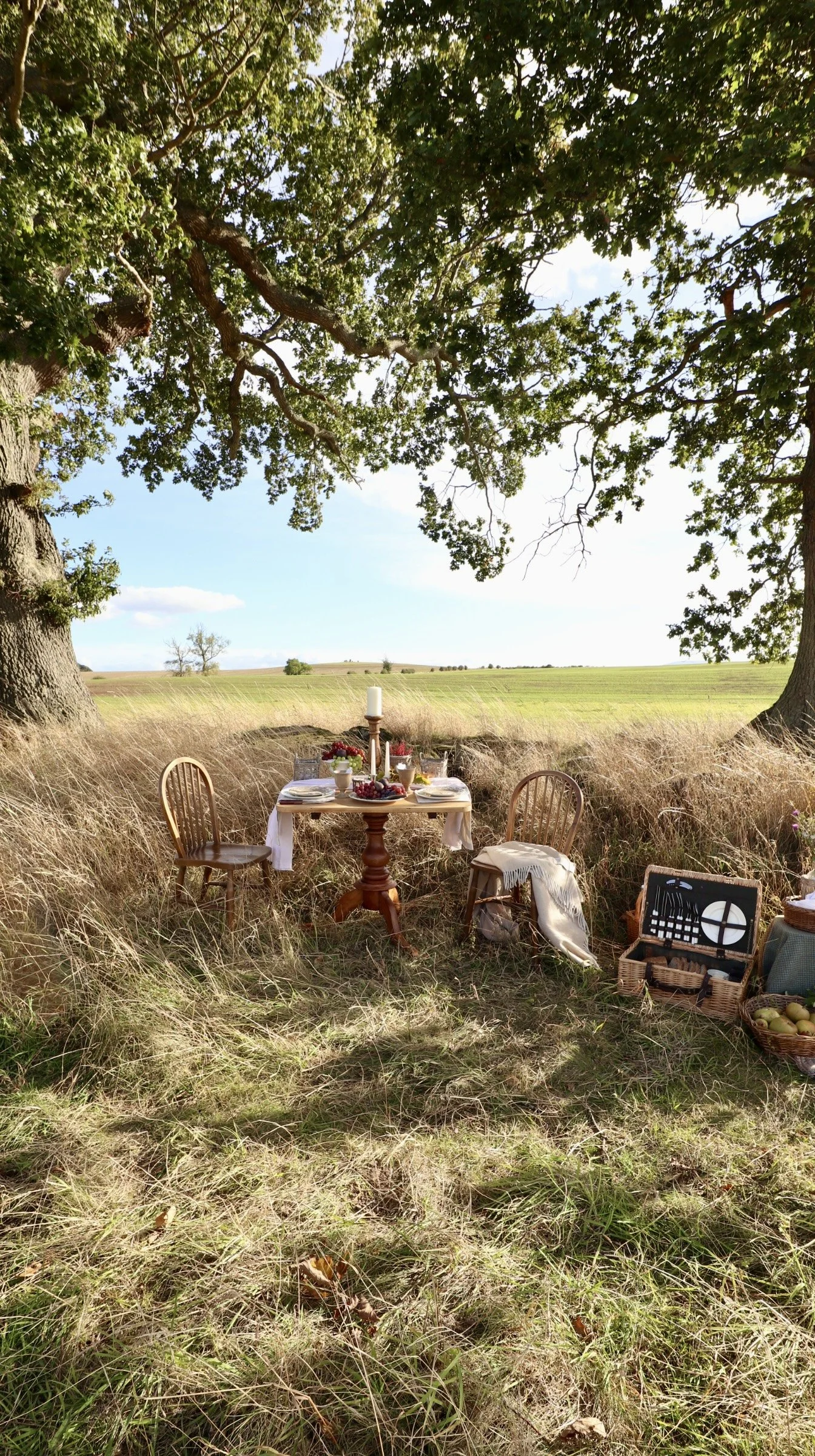 A rustic country picnic arranged beneath an oak tree, with vintage tableware, a wicker basket and a blanket in the long grass.
