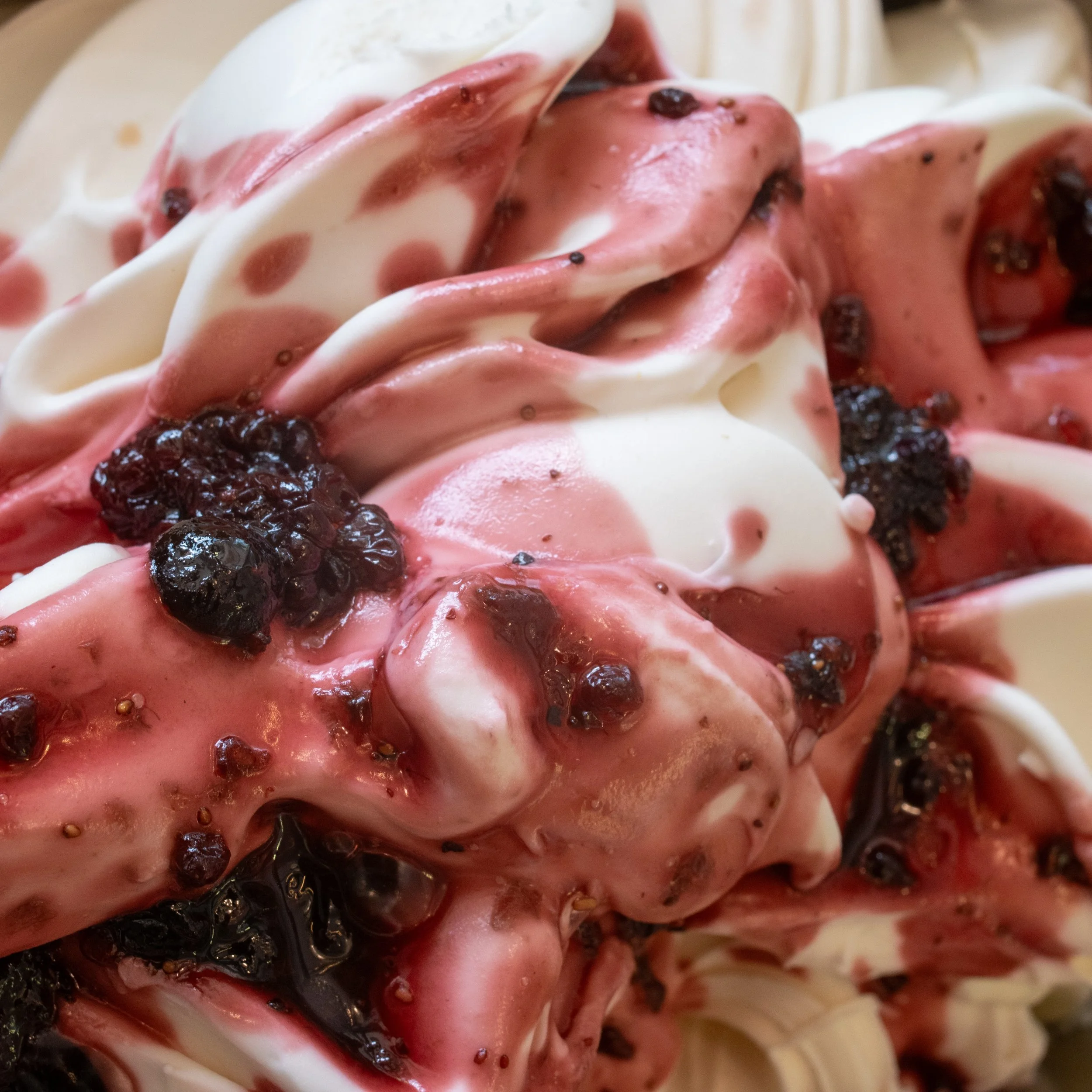 yogur_romagelato.jpg