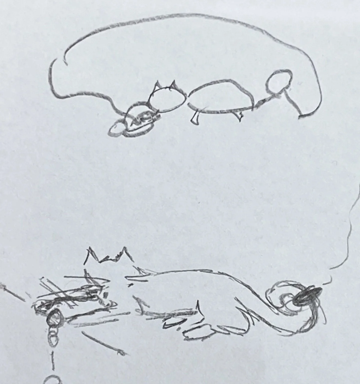 Customer's drawing at top and my quick sketch at the bottom. Looking to understand the proposed design and how this would work. 