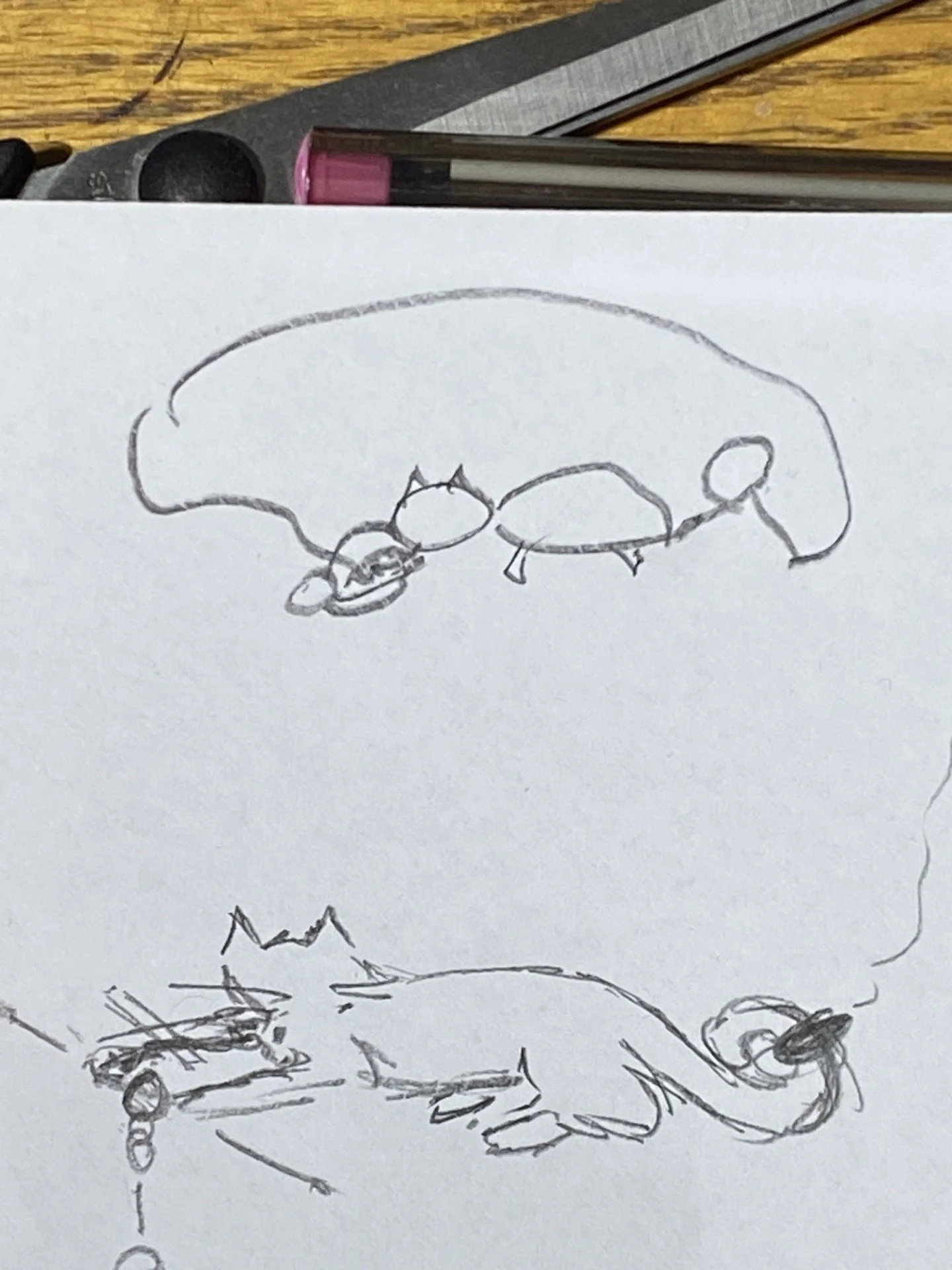 Customer's drawing at top and my quick sketch at the bottom. Looking to understand the proposed design and how this would work. 