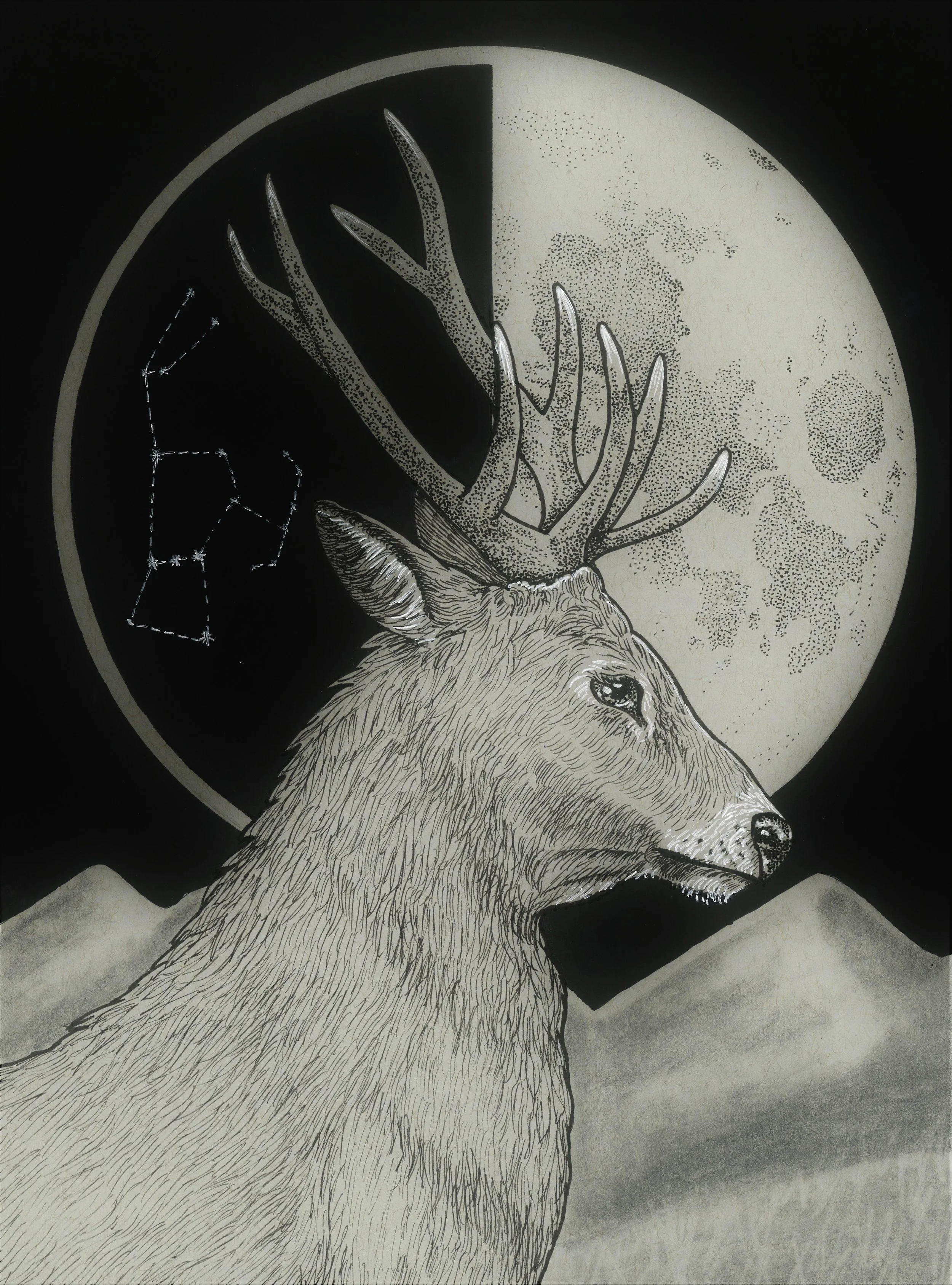 stag.jpg