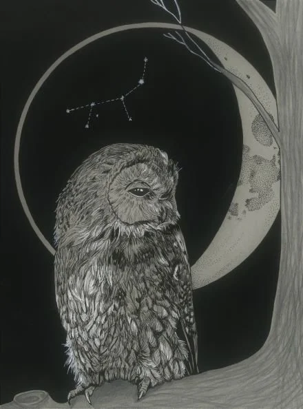 owl smol.jpg