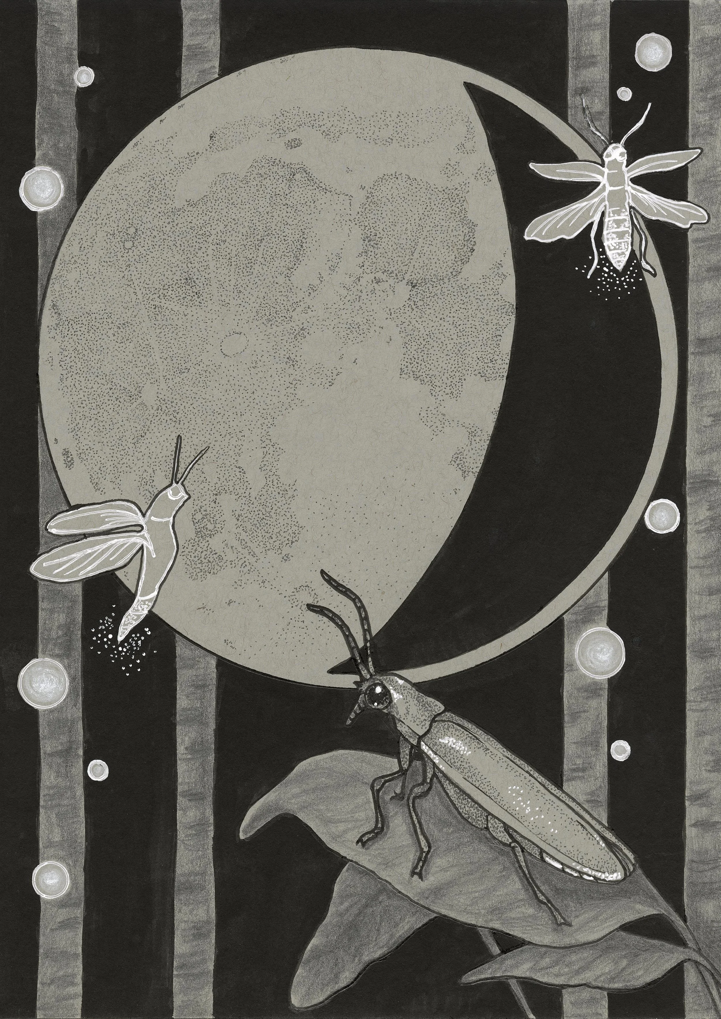 Lunar Firefly Giclee print