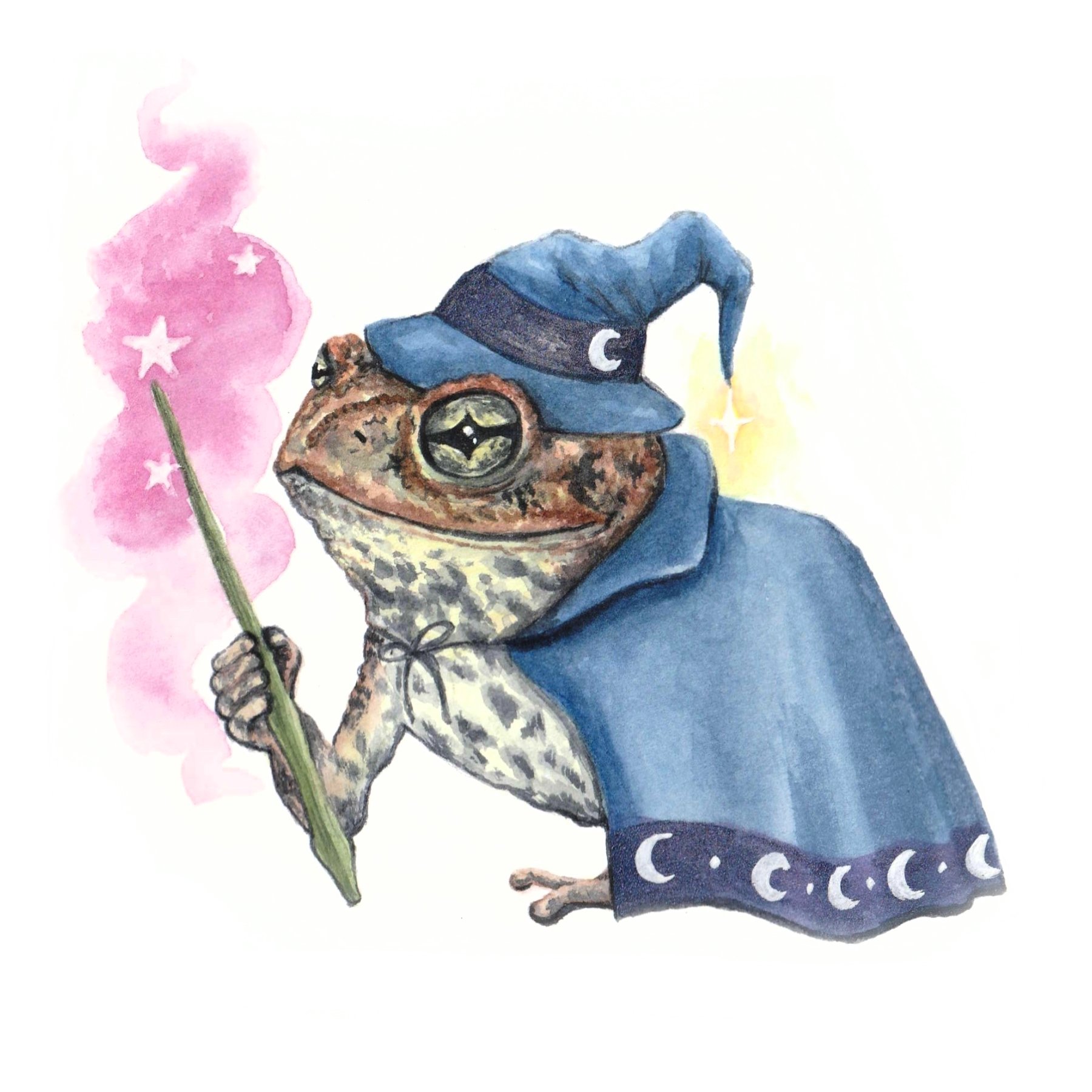 toad wizard.jpg