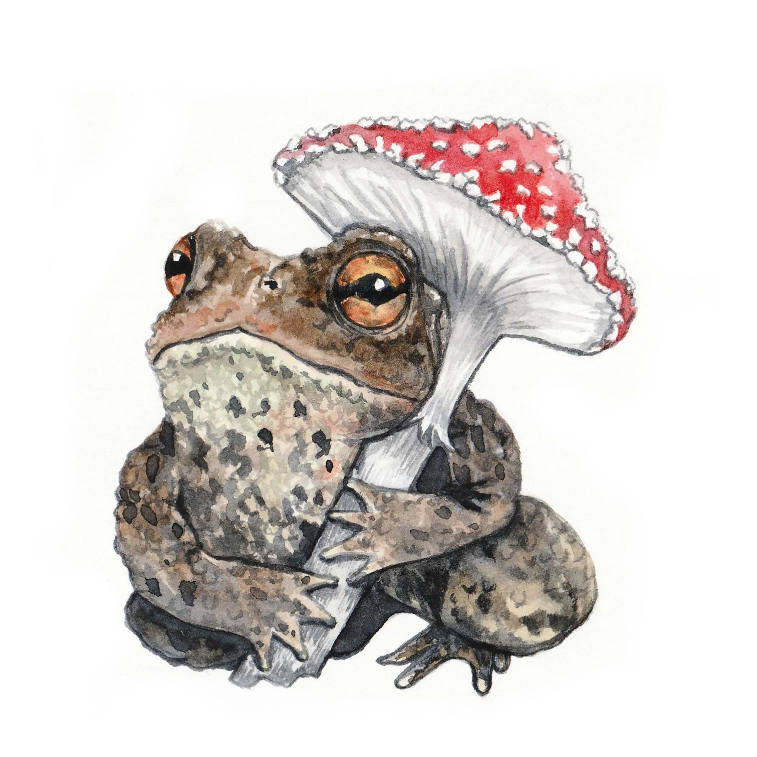 toad.jpg