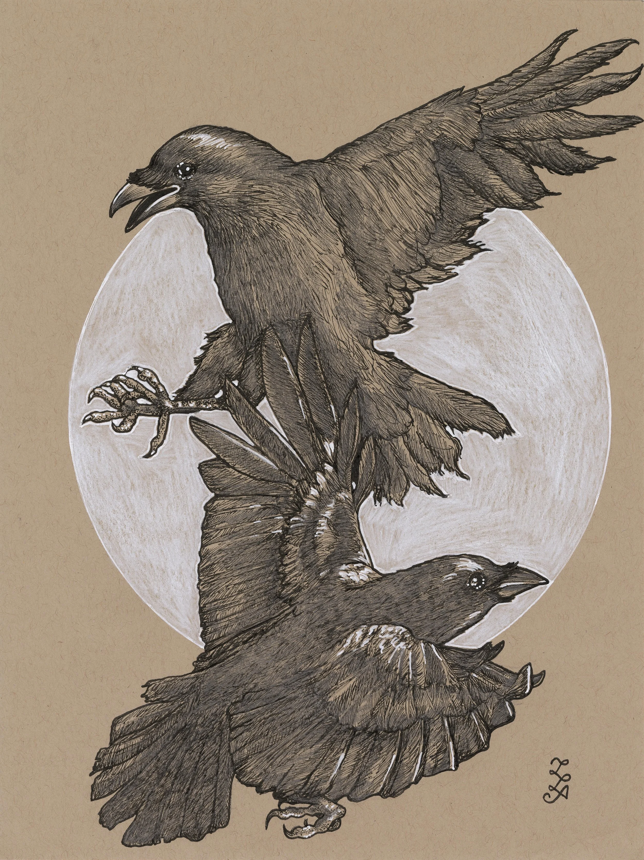 huginn and muninn.jpg