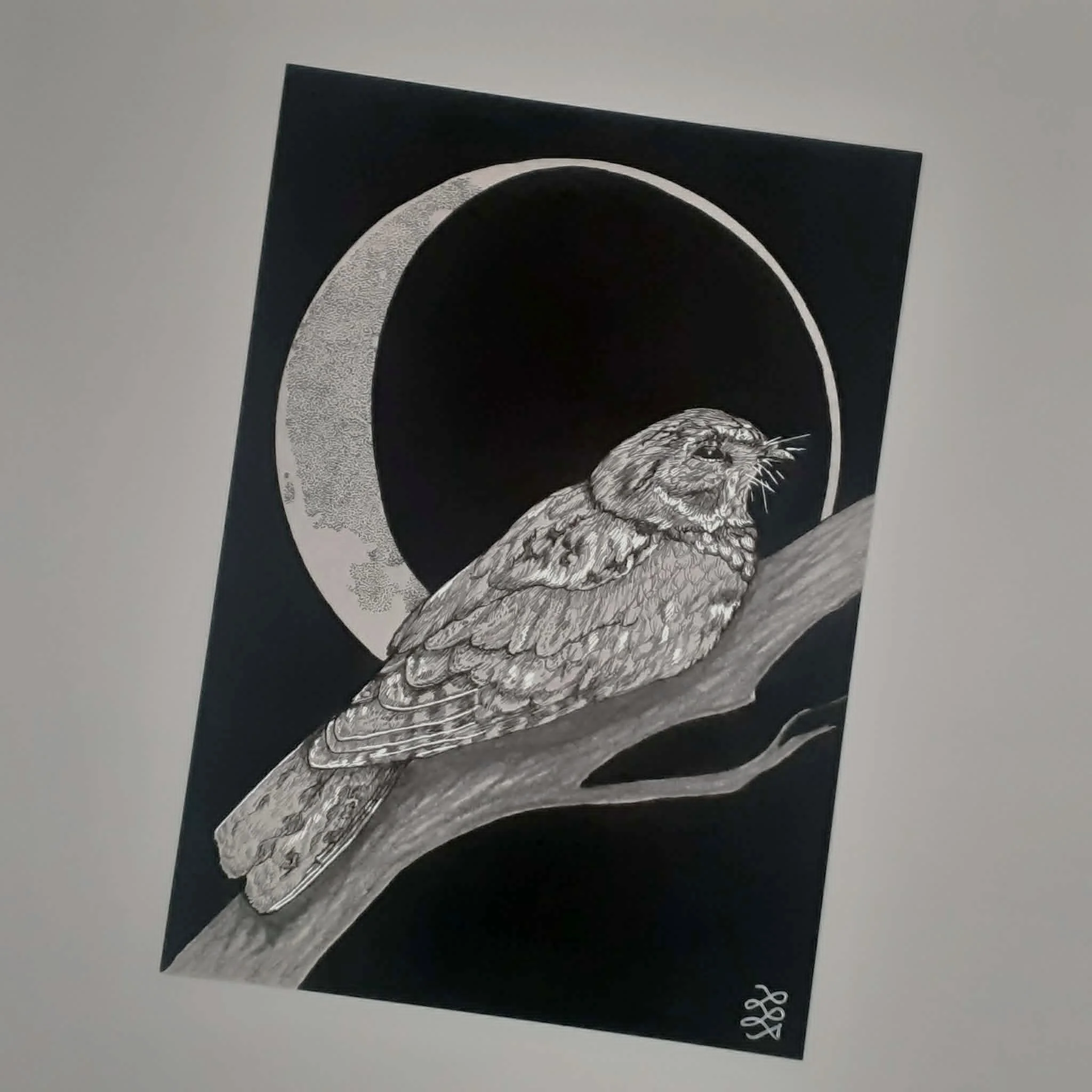 Lunar Nightjar Giclee print