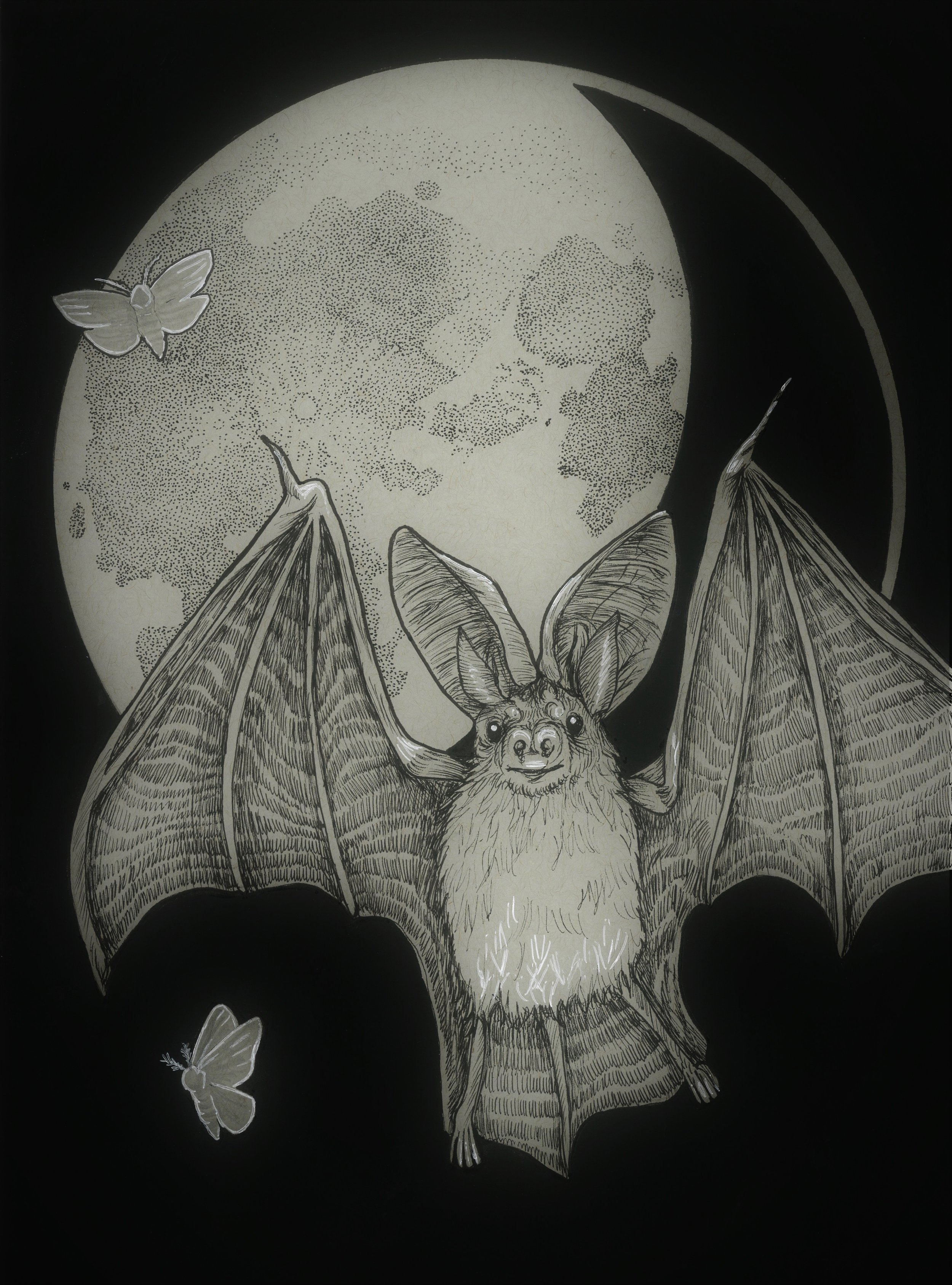 bat.jpg
