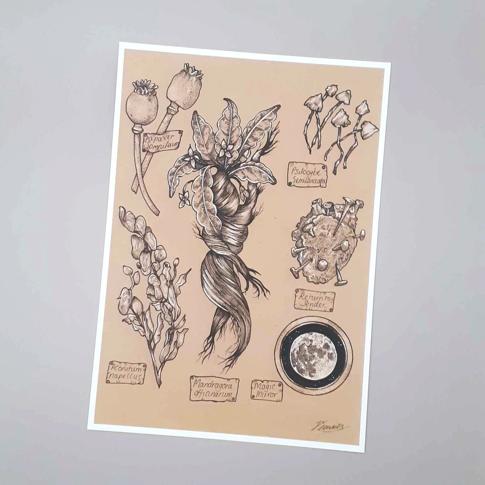 Enchanted Giclee print