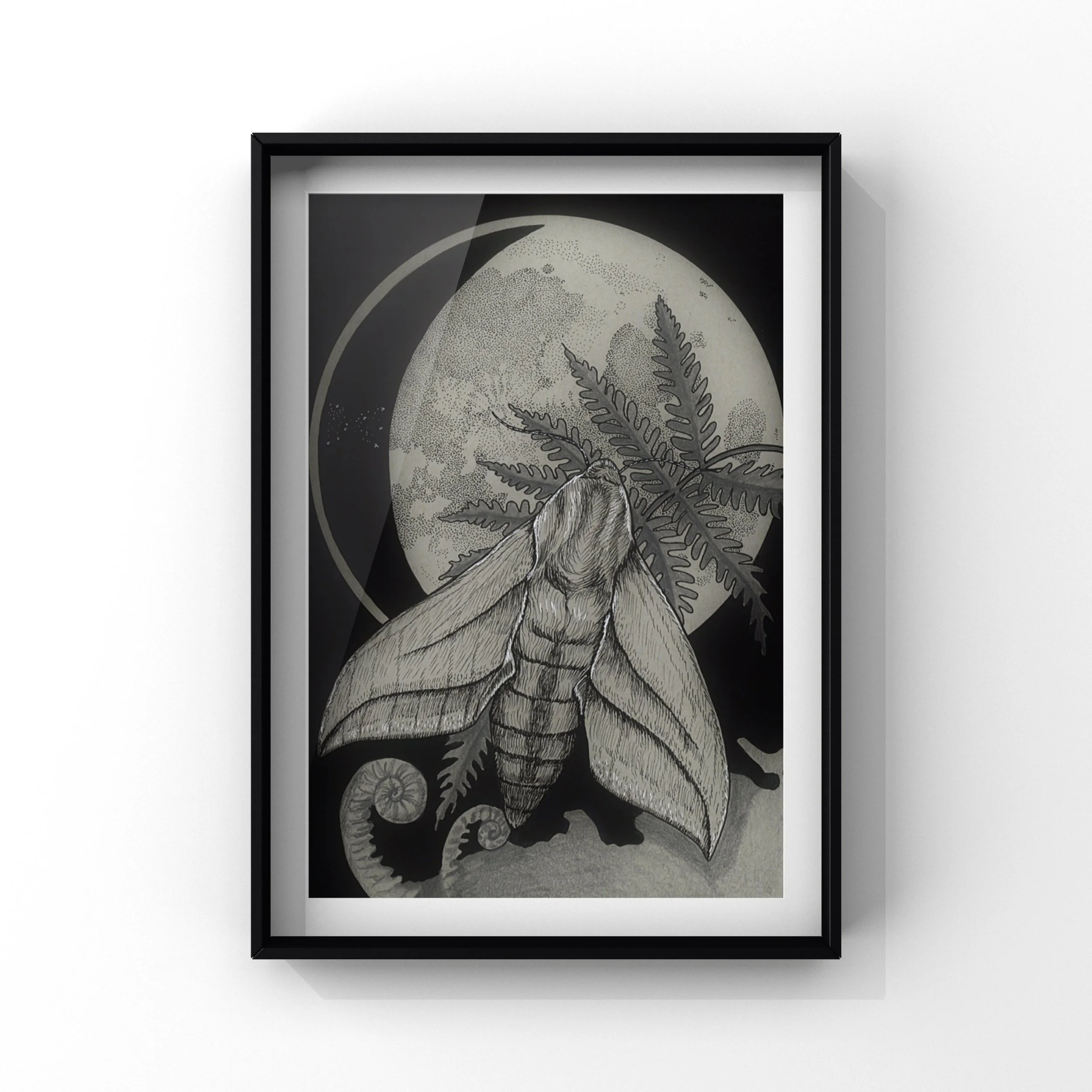 Lunar Moth Giclee print