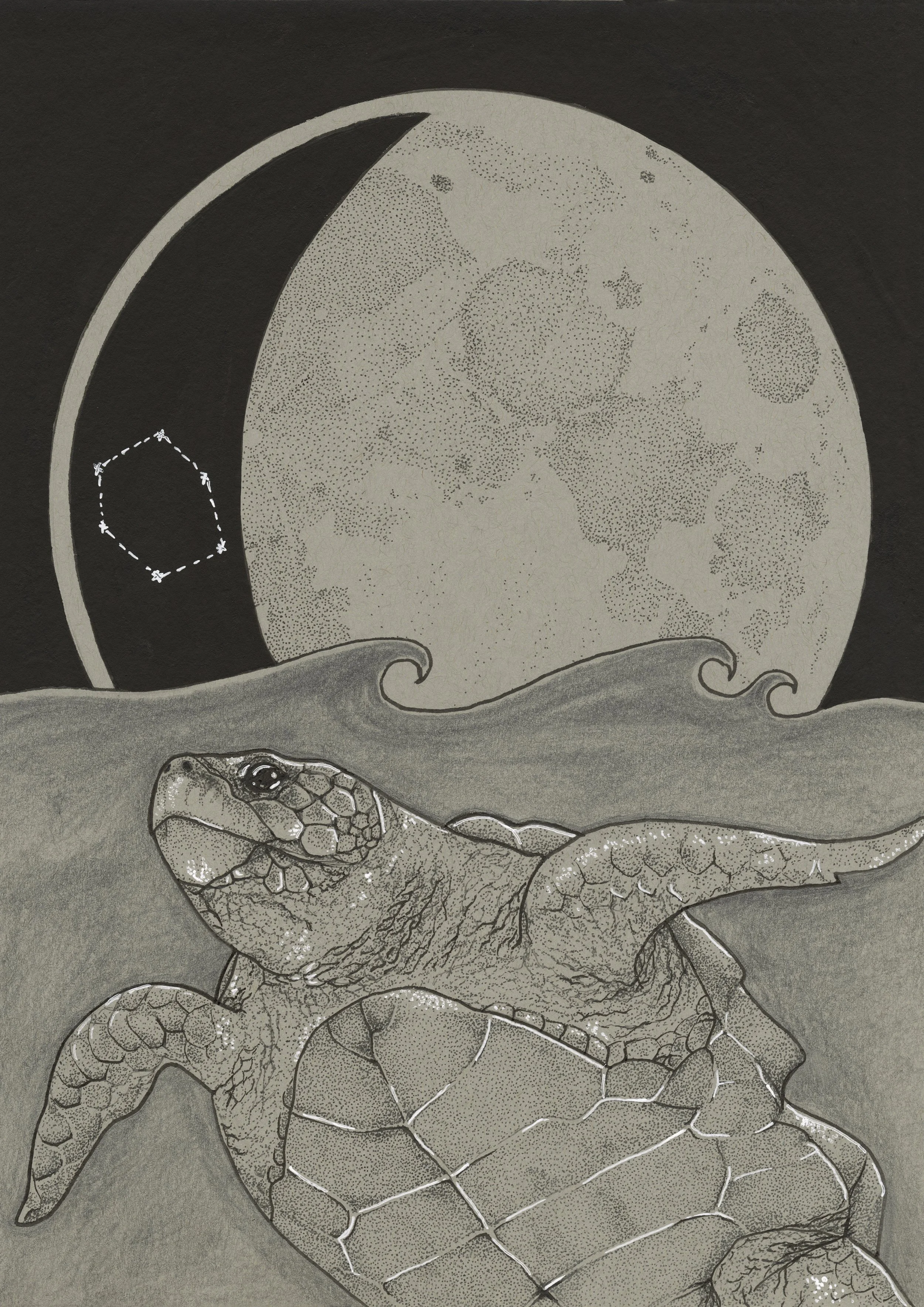 Lunar Turtle Giclee print