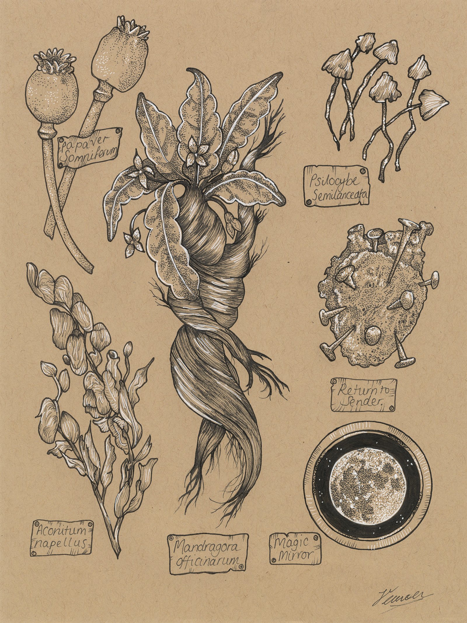Lost Magical Pages