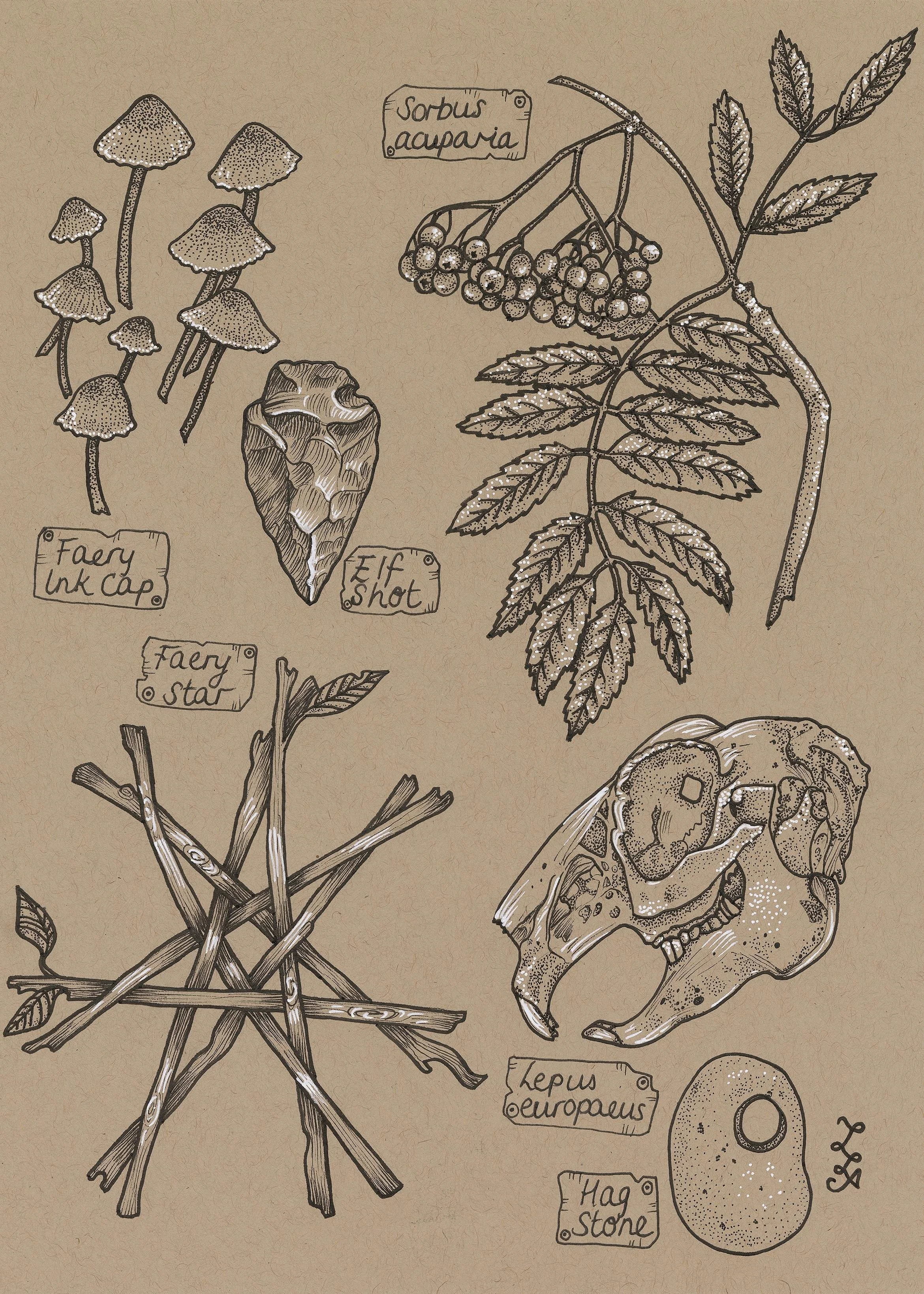 Faery Folklore.jpg