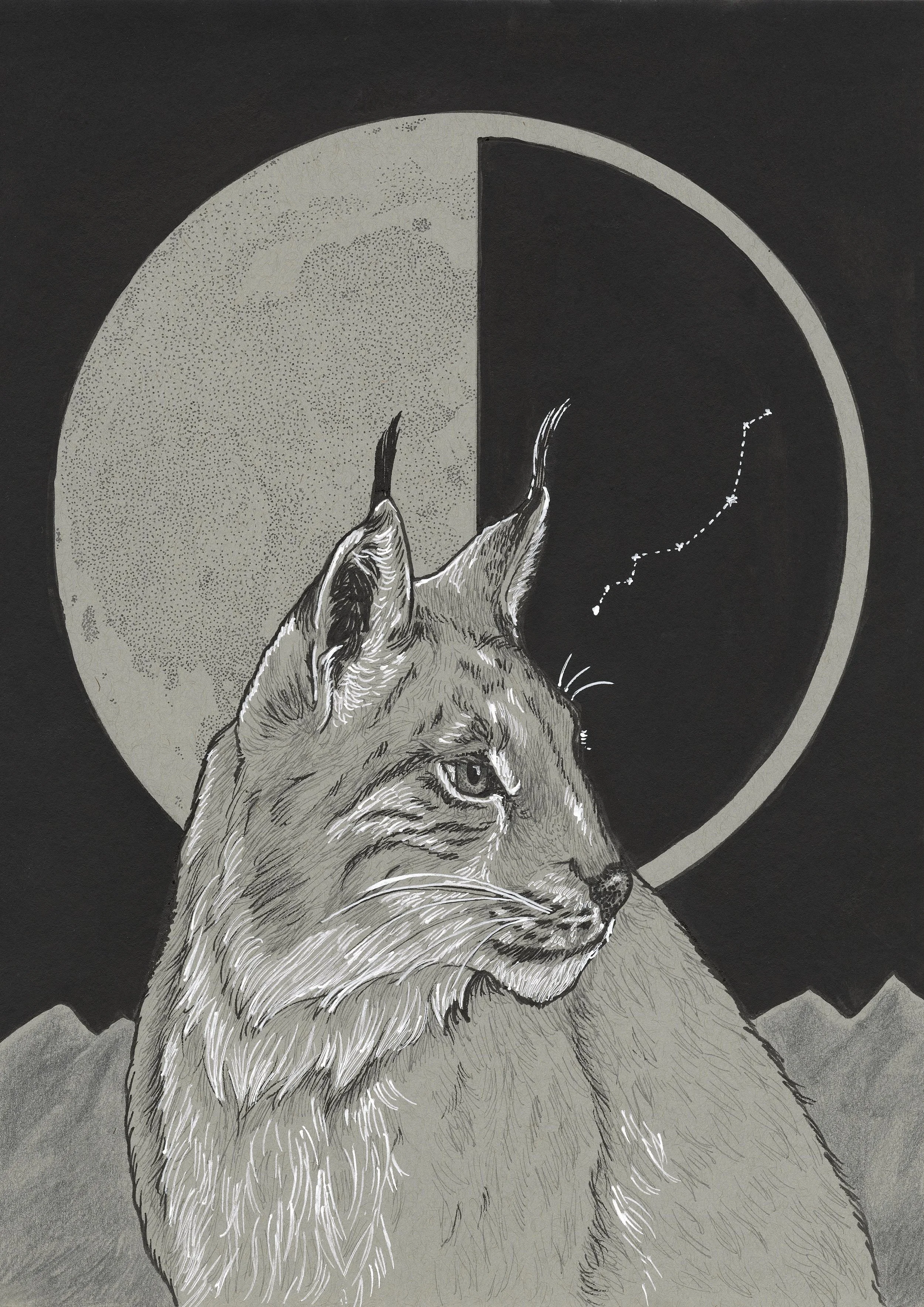 Lunar lynx.jpg