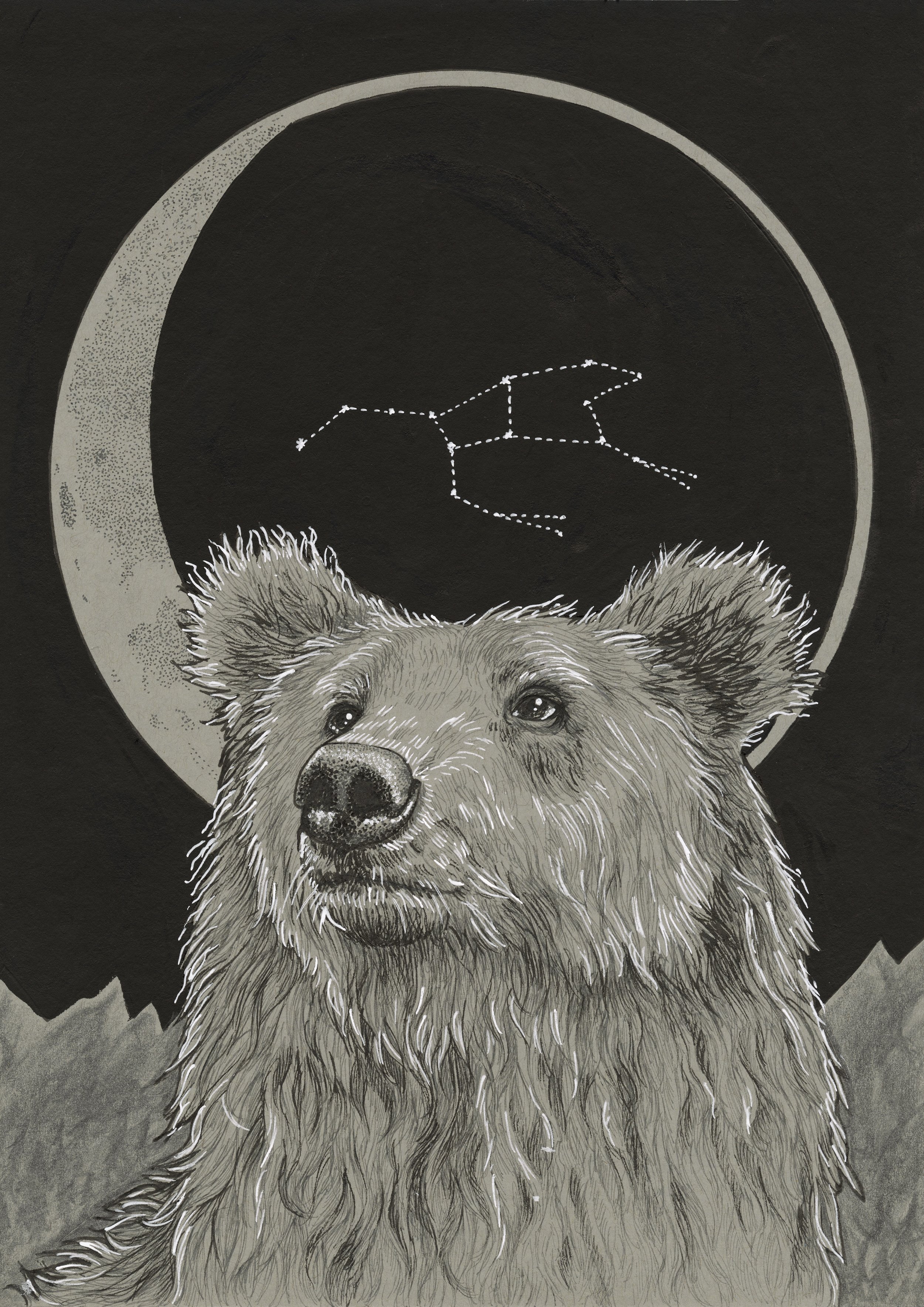 Lunar Bear.jpg