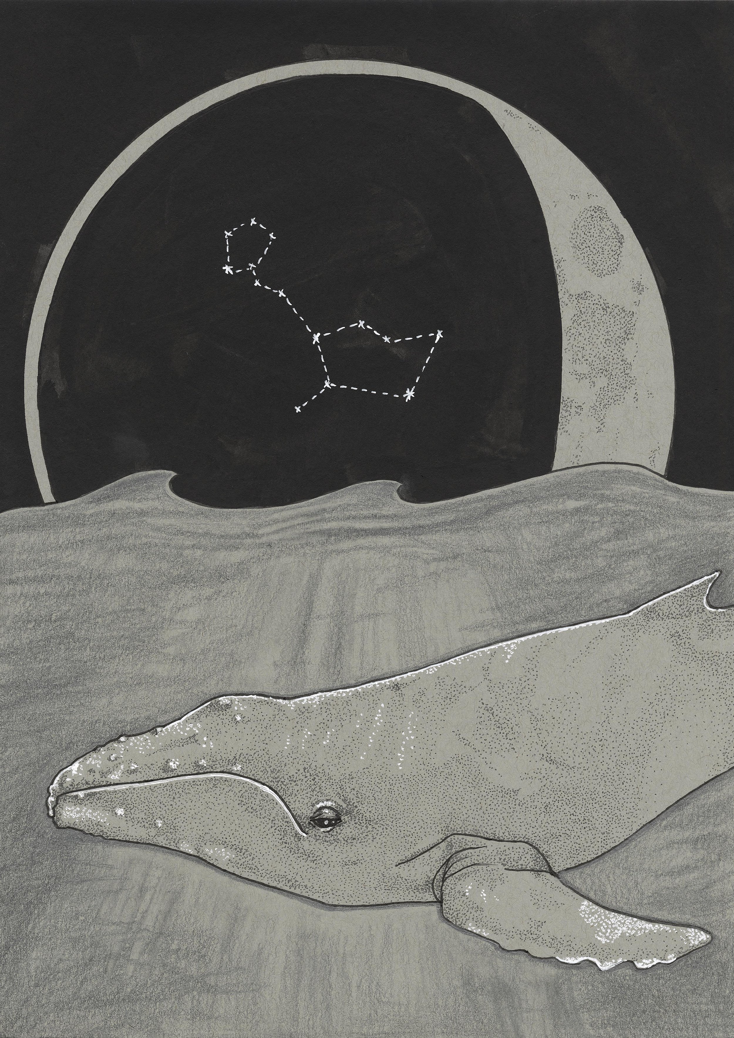 Lunar whale.jpg