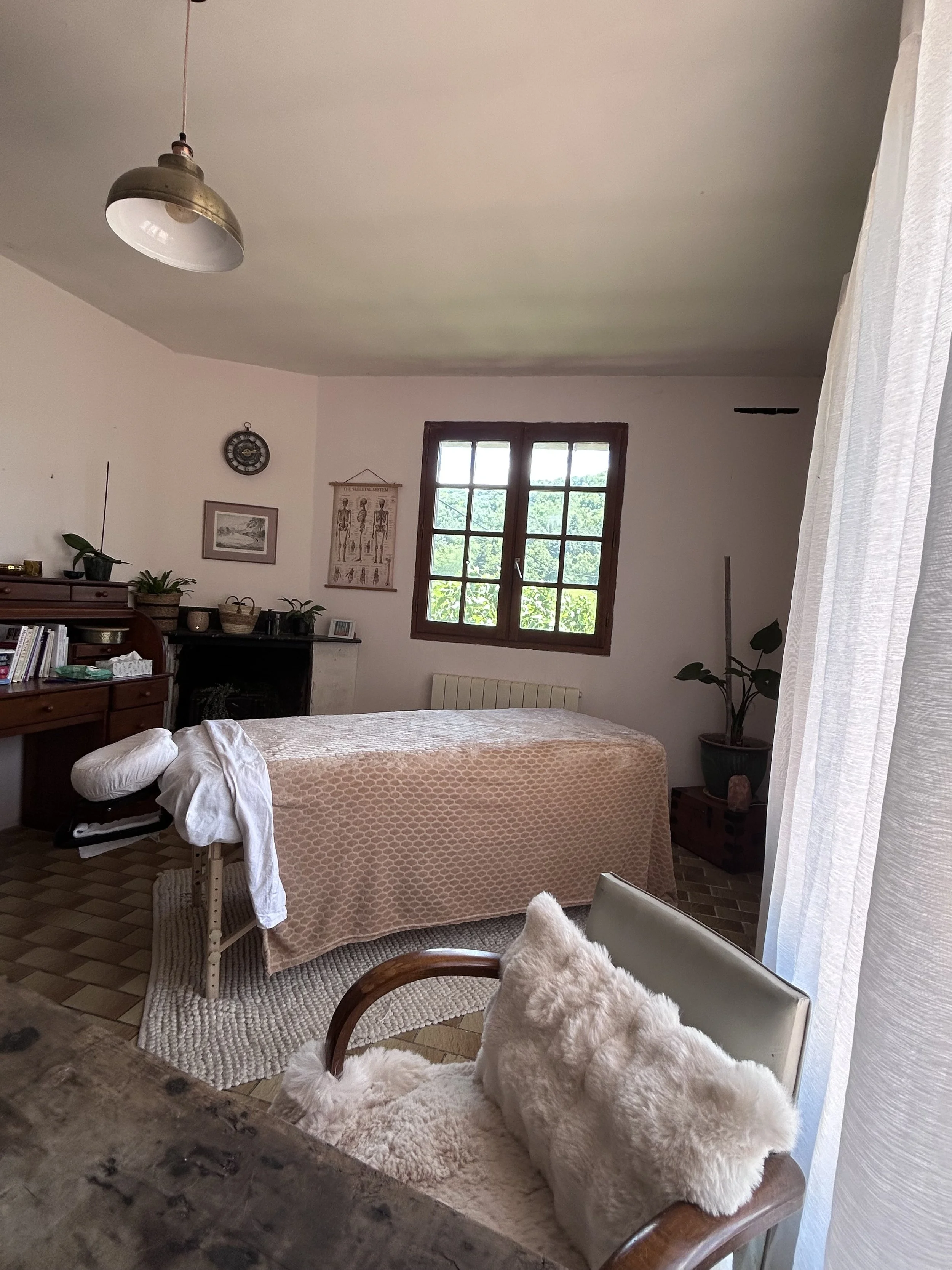 Une chambre avec un lit, une fenetre, des plantes en pot, des tableaux, une lampe suspendue, des étagères avec des livres et des décorations, et un chien blanc allongé sur une chaise.
