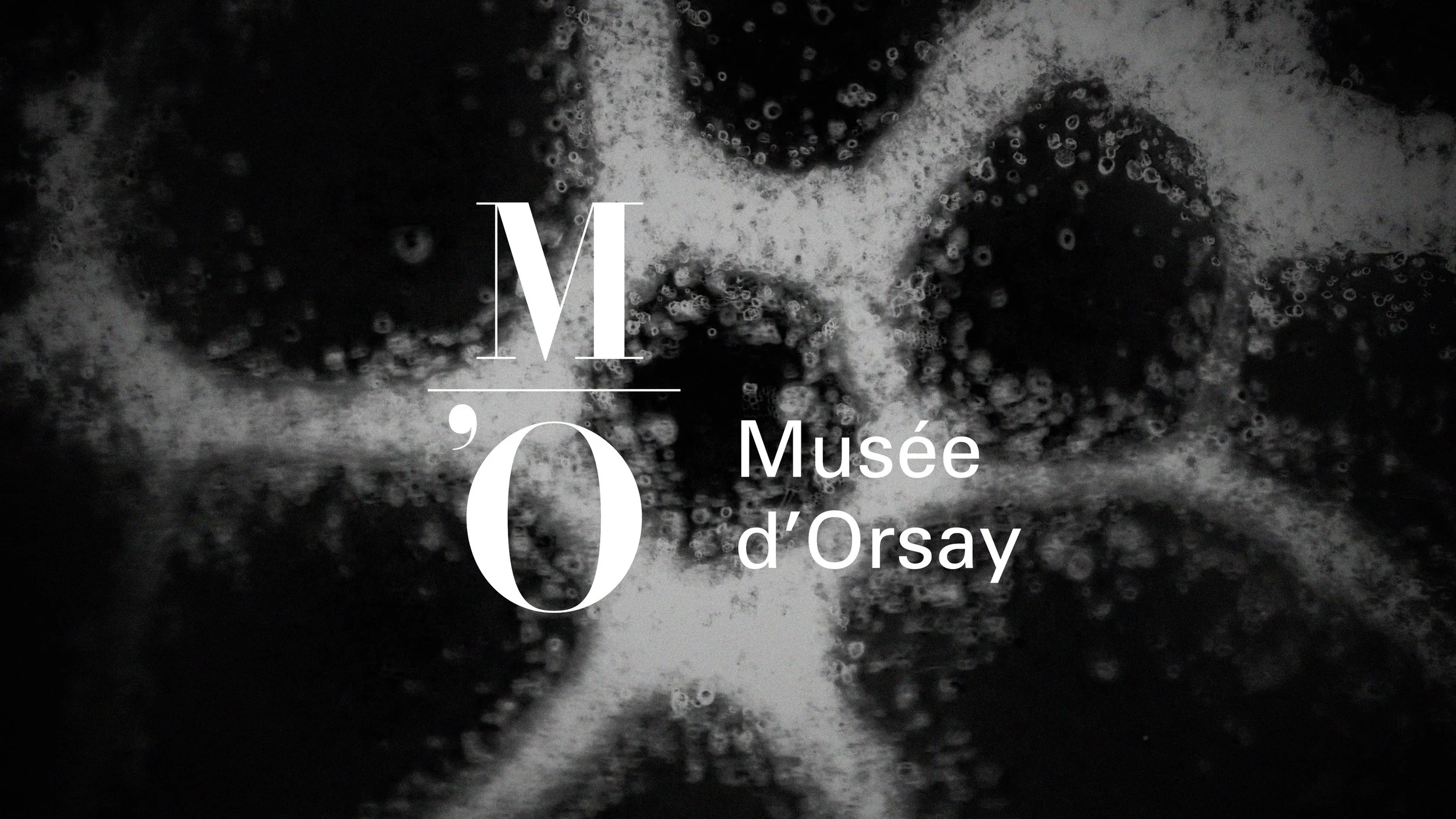 Logo du Musée d'Orsay avec une étoile de mer en arrière-plan, en noir et blanc.