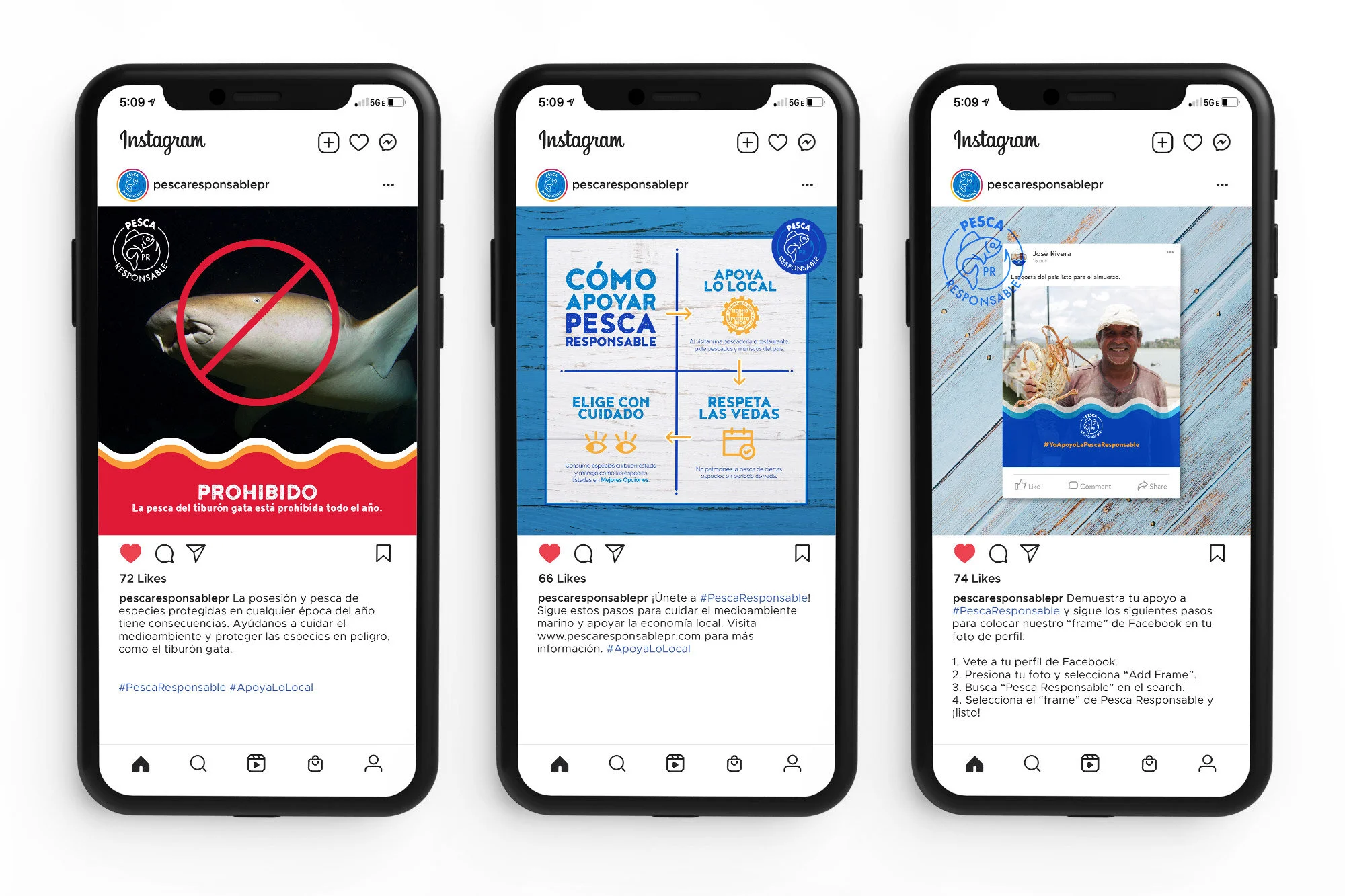 Pesca Responsable • Diseño para Redes Sociales
