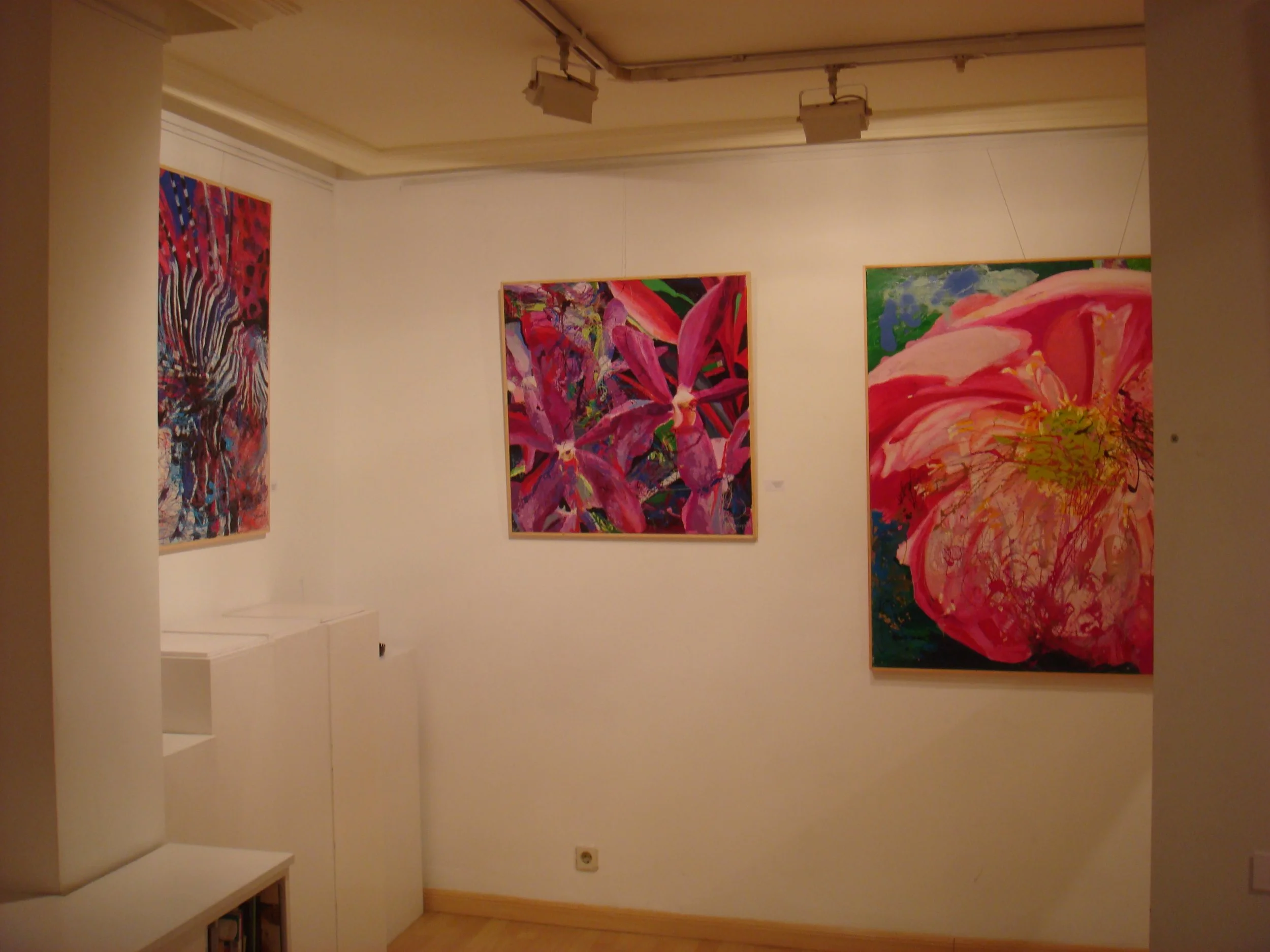 DSC08260.JPG