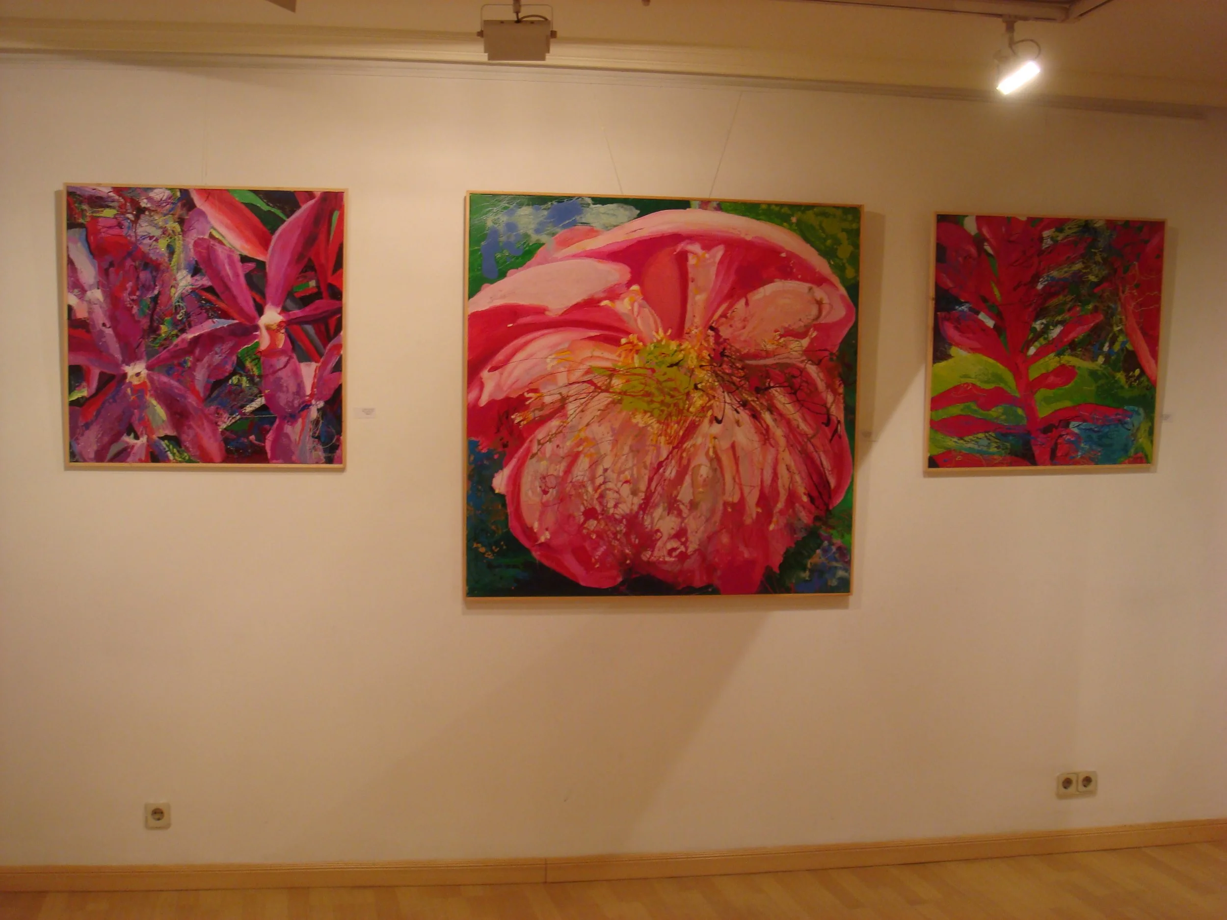 DSC08270.JPG