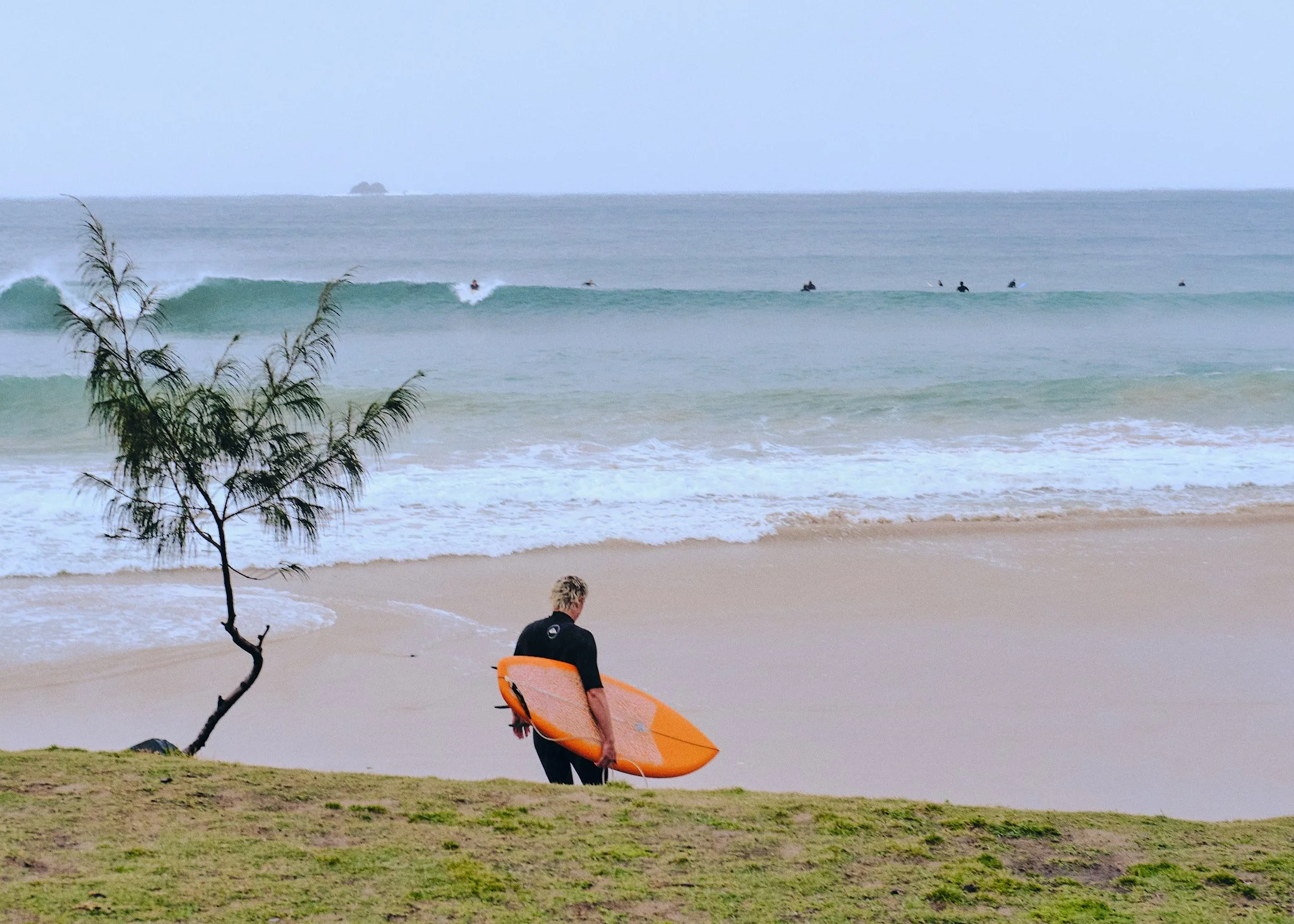 Australien2024 73 1.jpg