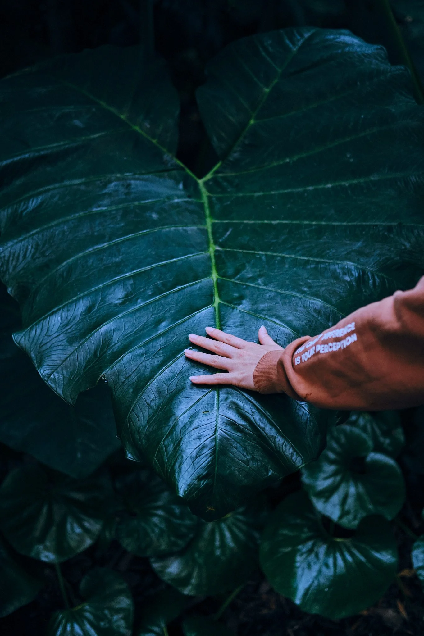 Australien2024 168.jpg