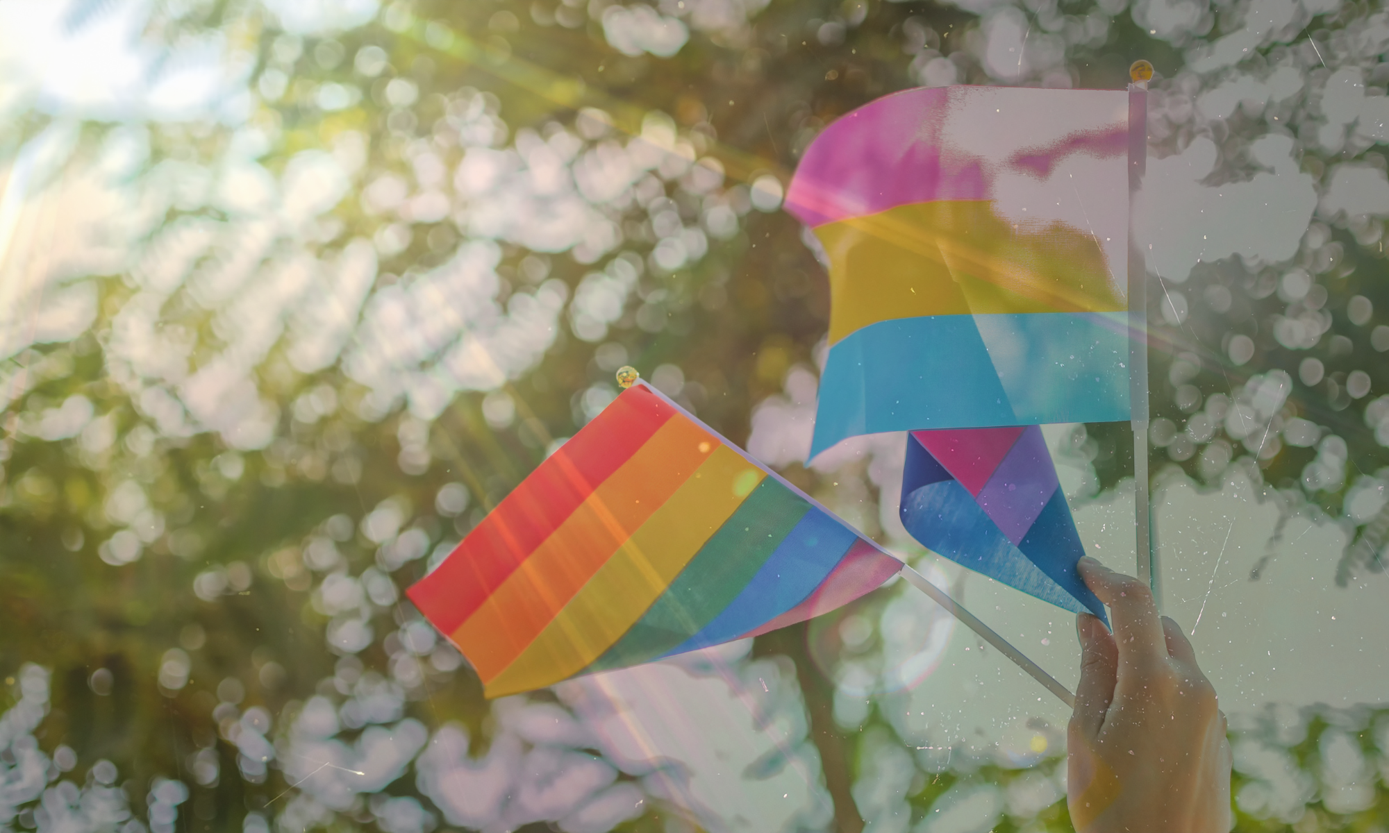 LGBTQ inclusive and affirmative practice