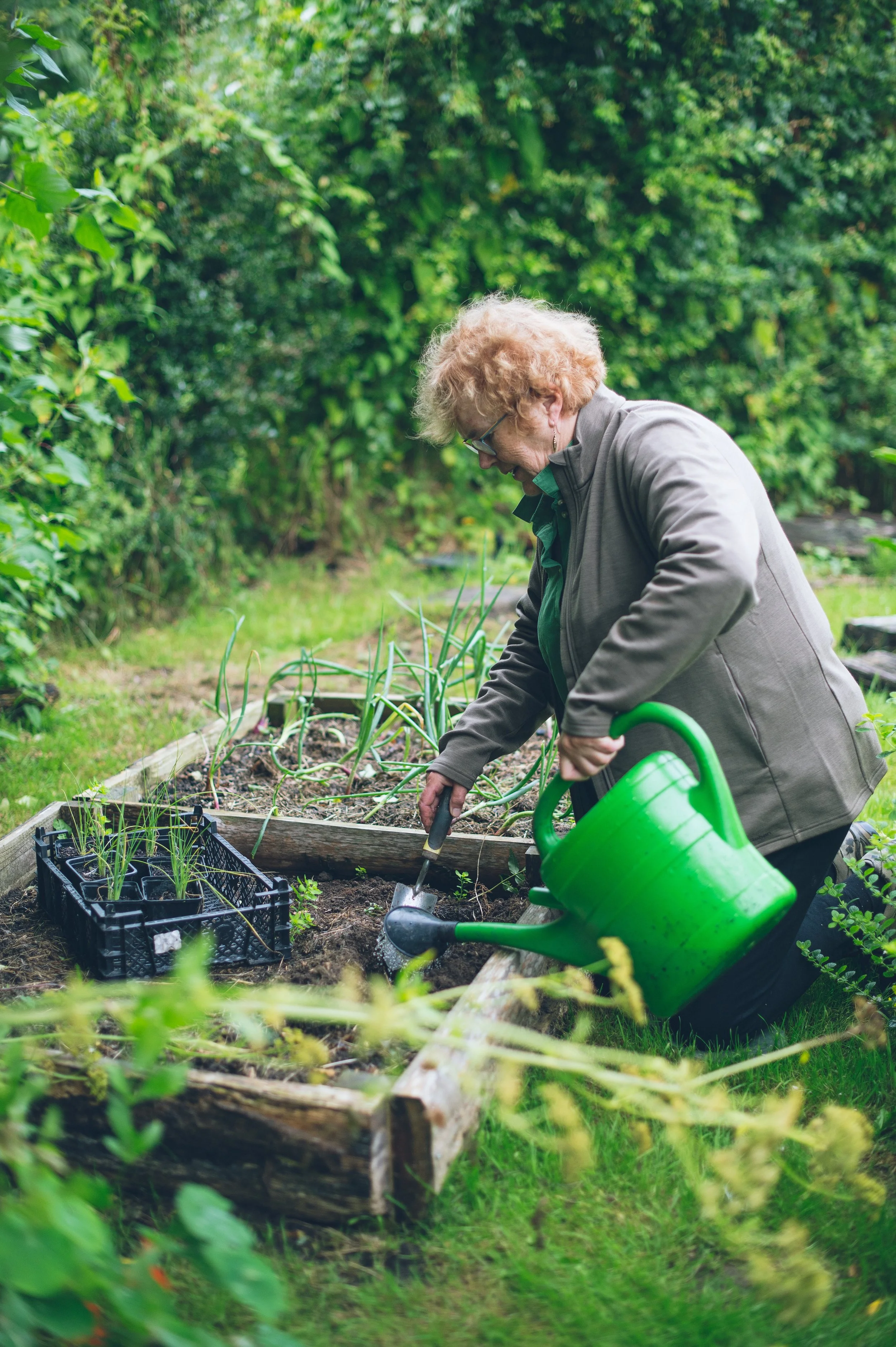 Sarah Wilberforce, 
Grow Your Own & Events