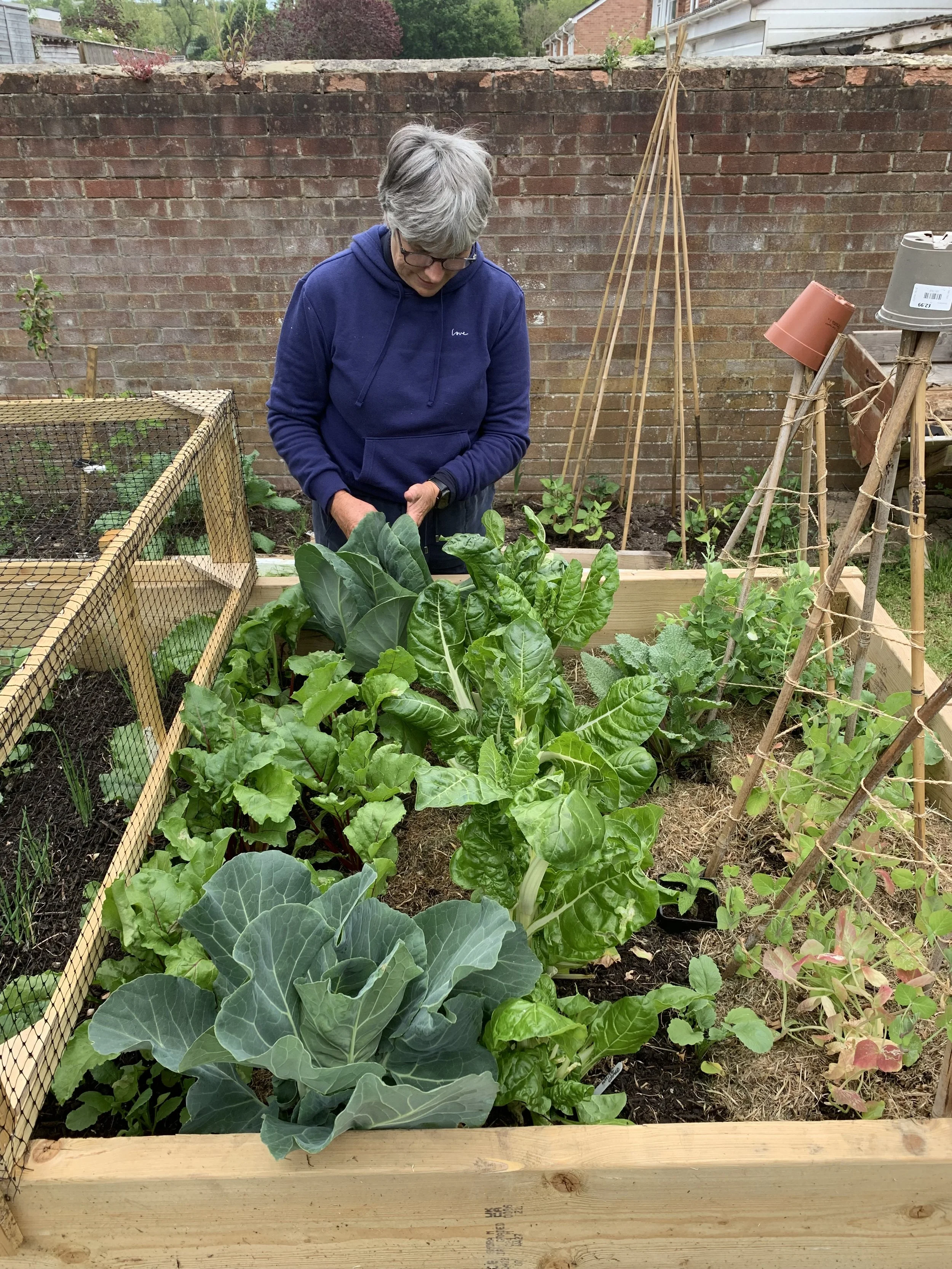 Sheri Ahmet, 
Edible Bridport