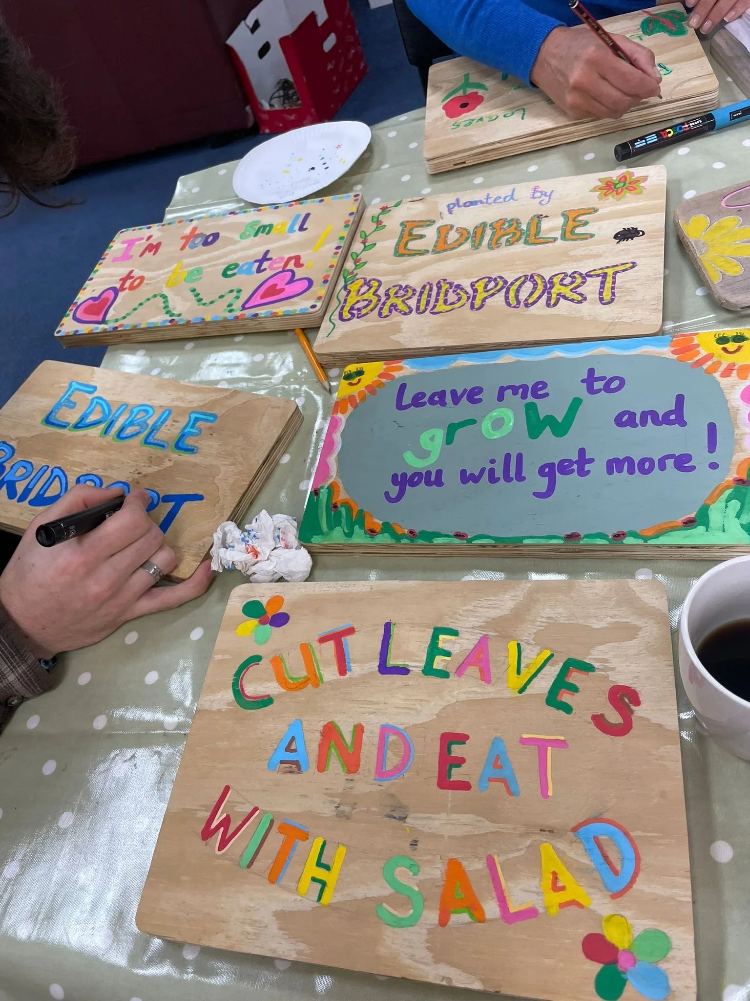 Edible Bridport: Volunteer Meet-up, Tea &amp; Cake