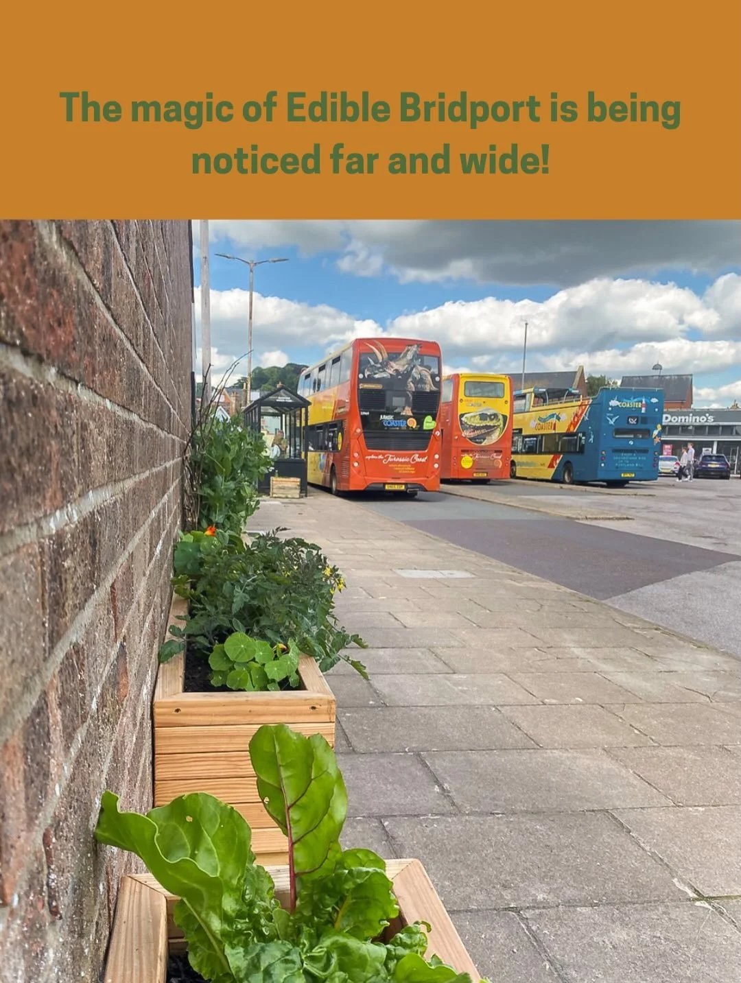 Spotted in The Sunday Times this week &mdash; Bridport has been named one of the Best Places to Live in the UK 2026, and guess what got a mention? Our very own Edible Bridport planters at the bus station!

The article highlights foraging for free le