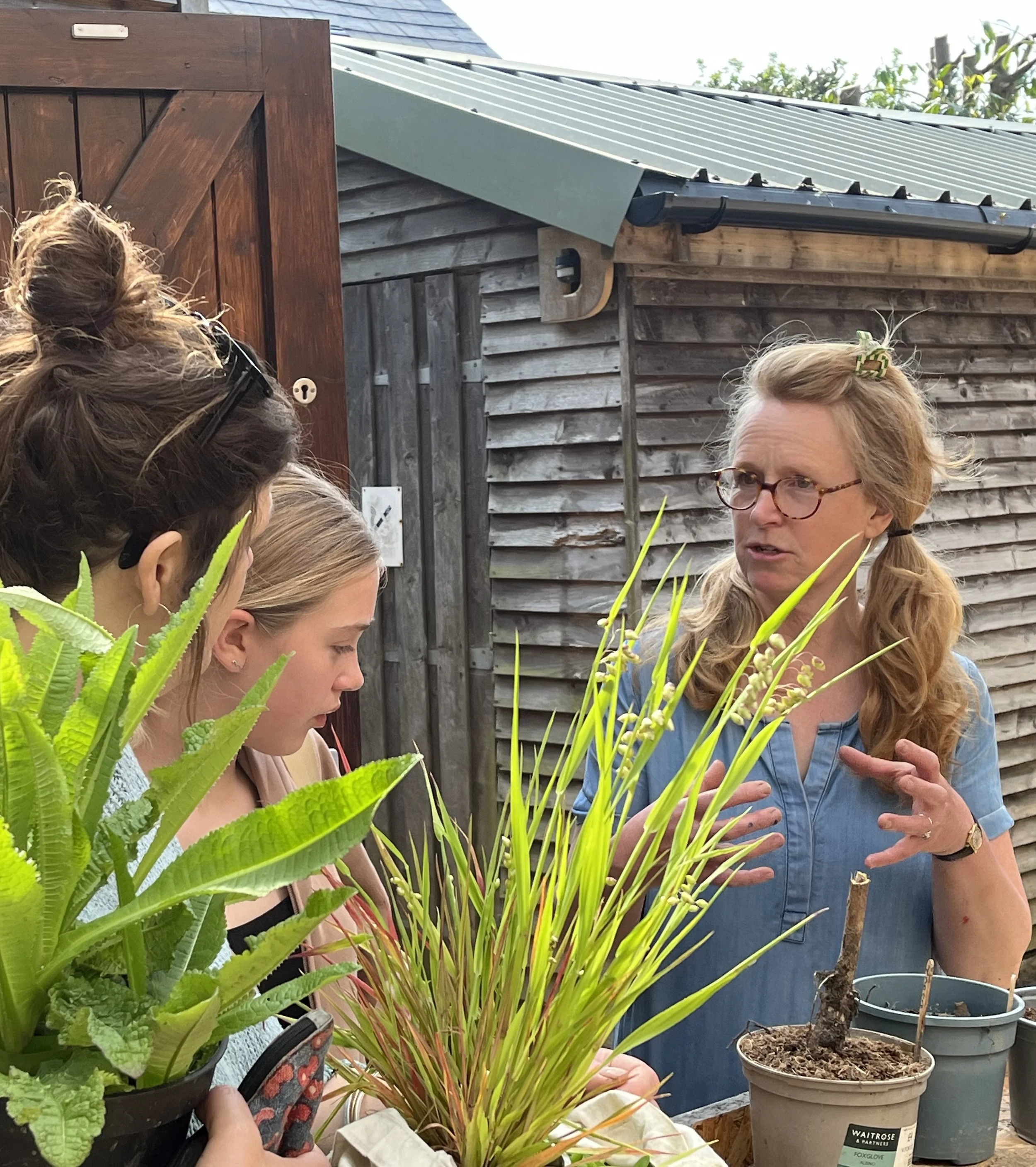 Our Latest Newsletter is Out!