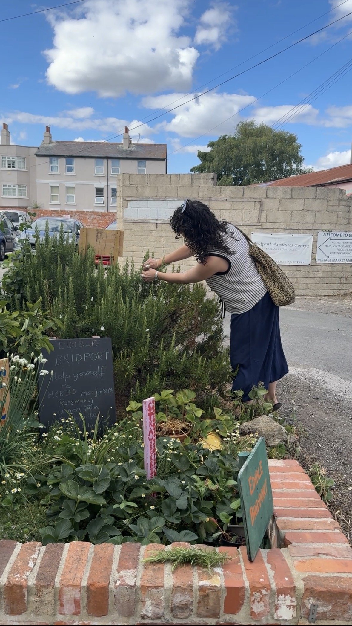 Edible Bridport: Growing Strong