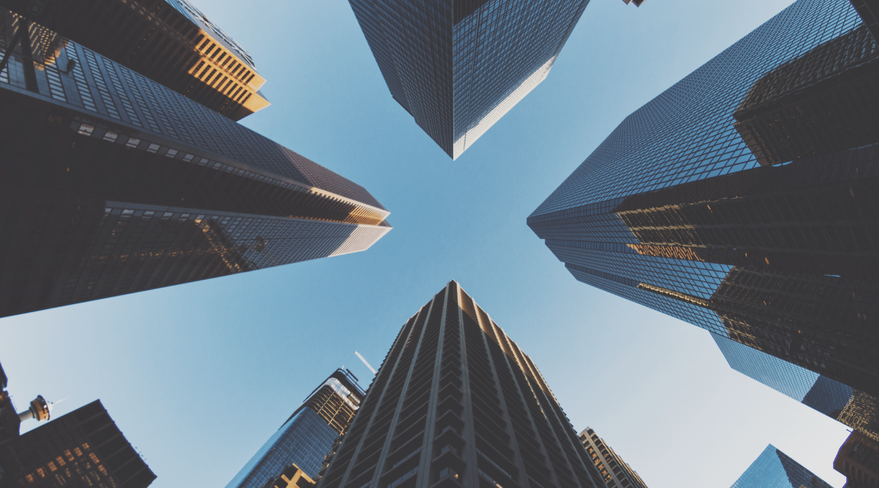 ¿Tenéis actualmente una buena estrategia?