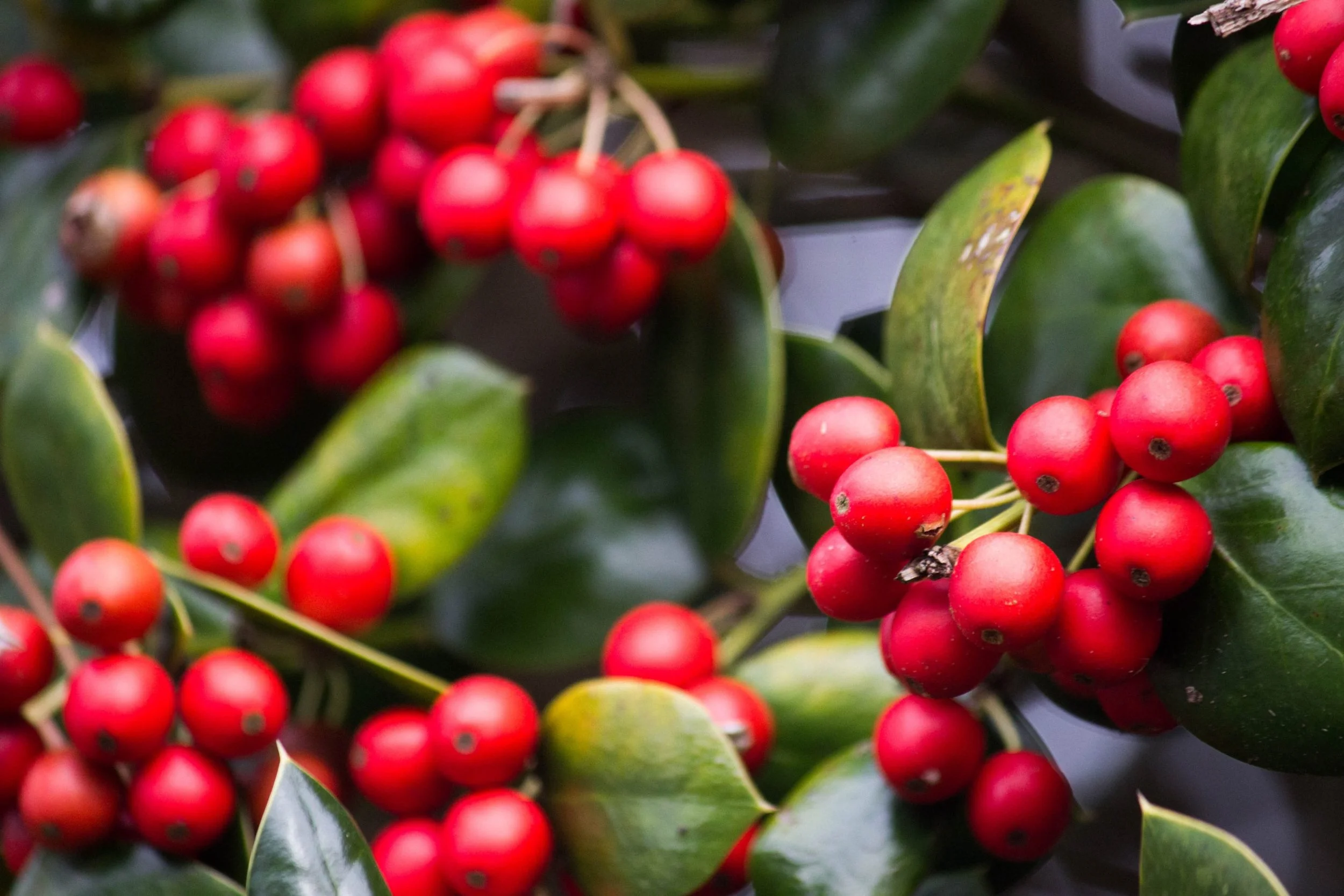 Café con CEOs: Ethics Coffee