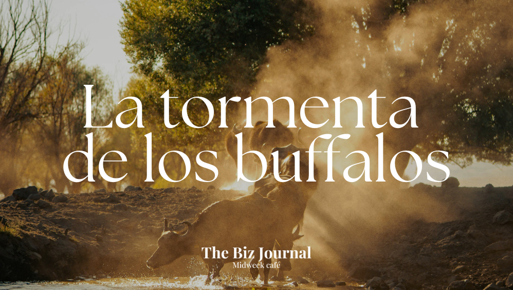 La tormenta de los búfalos
