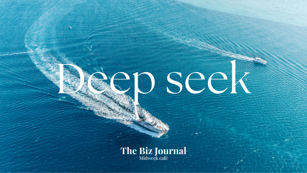 Deep Seek