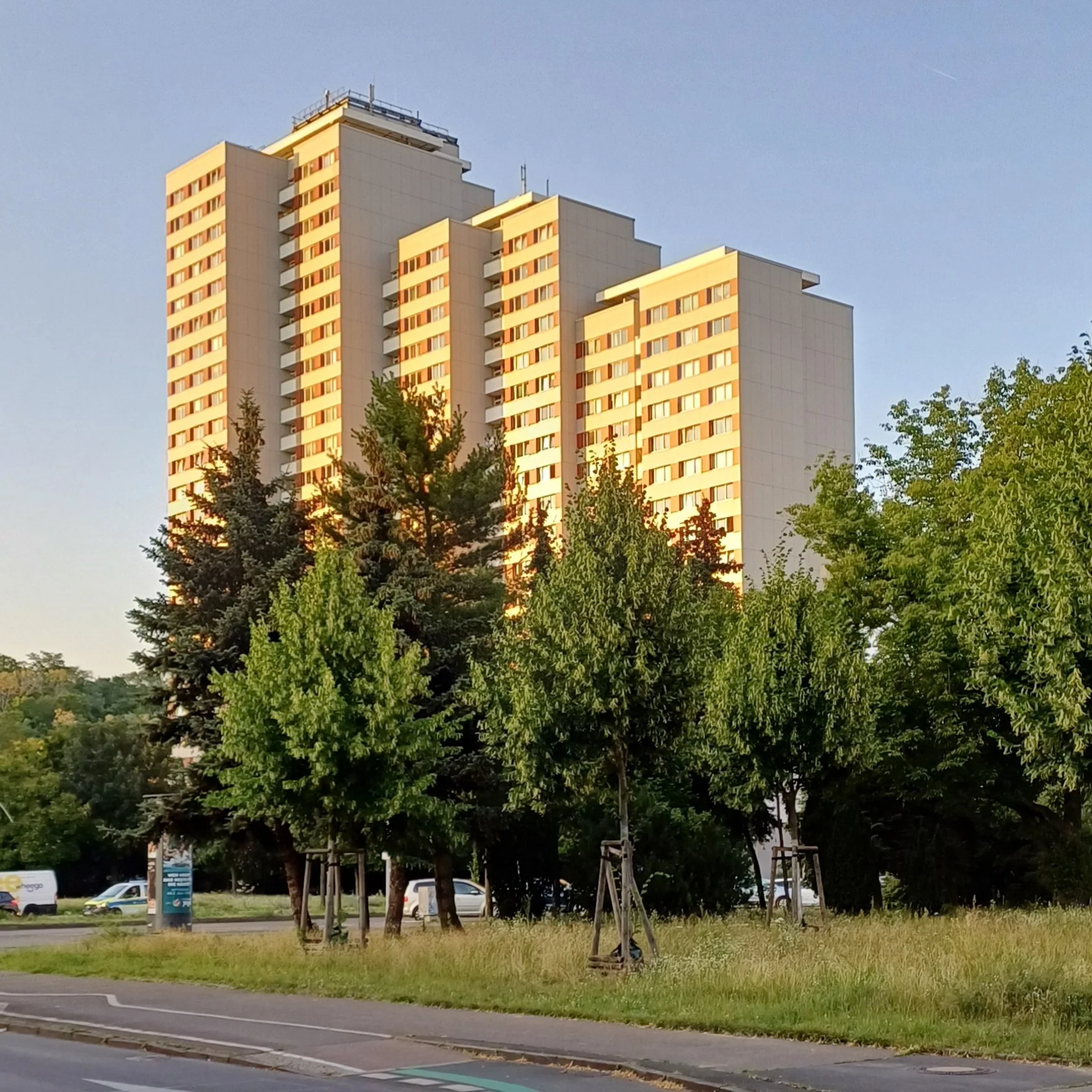 betontulpen | "stepwise" Ostberlin |  2024