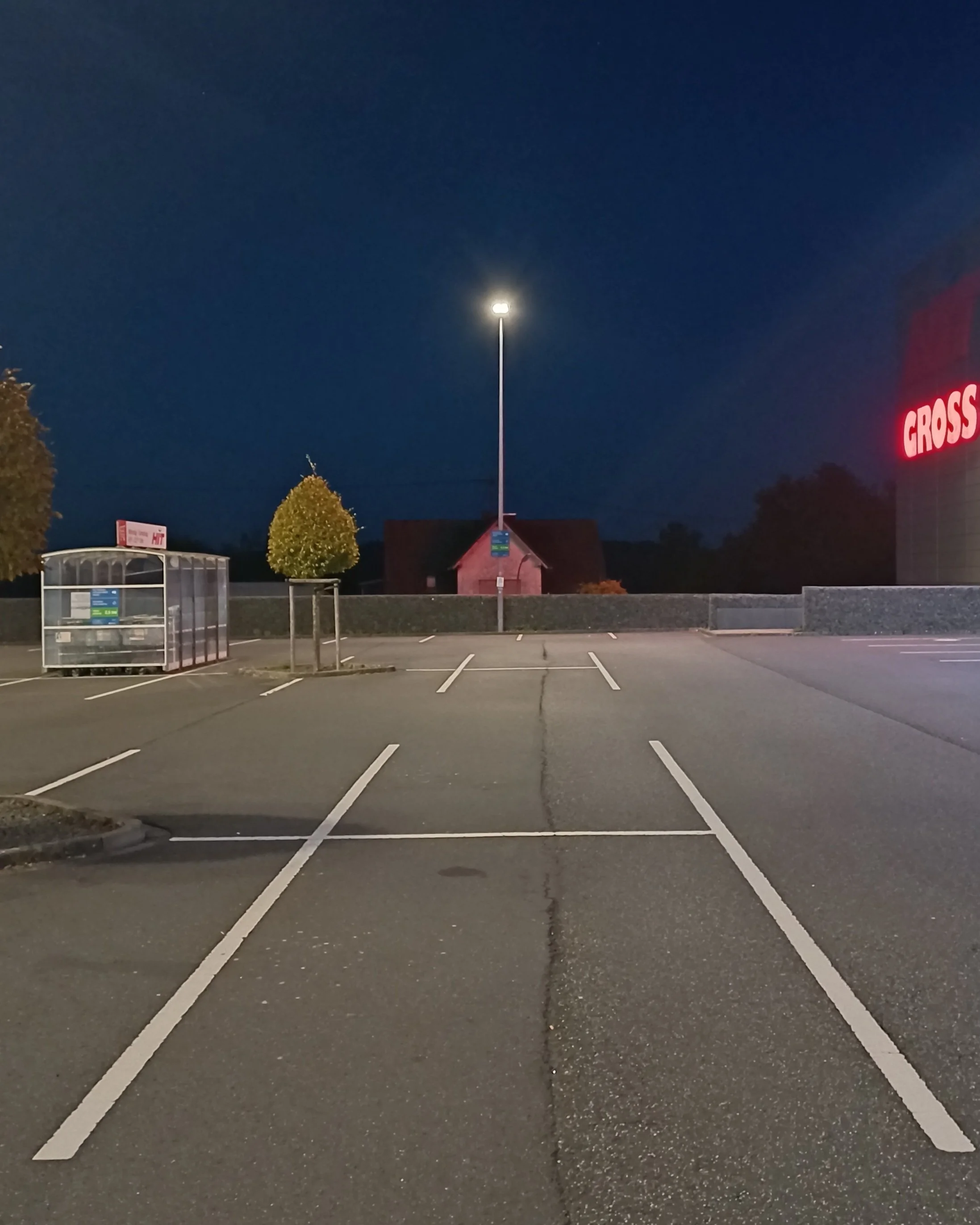 betontulpen | "solitude" Hachenburg 2025