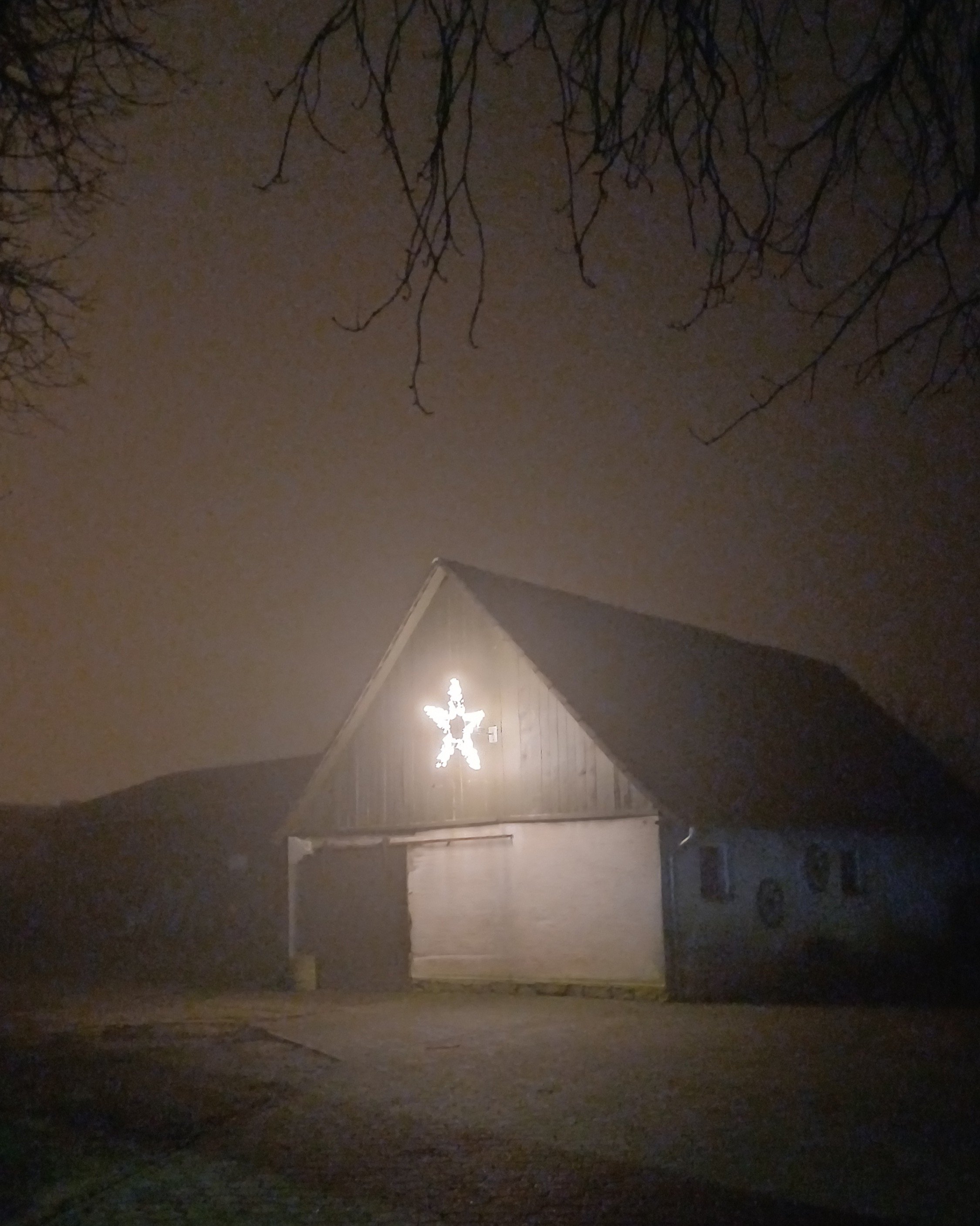 betontulpen HEIMAT (10).jpg